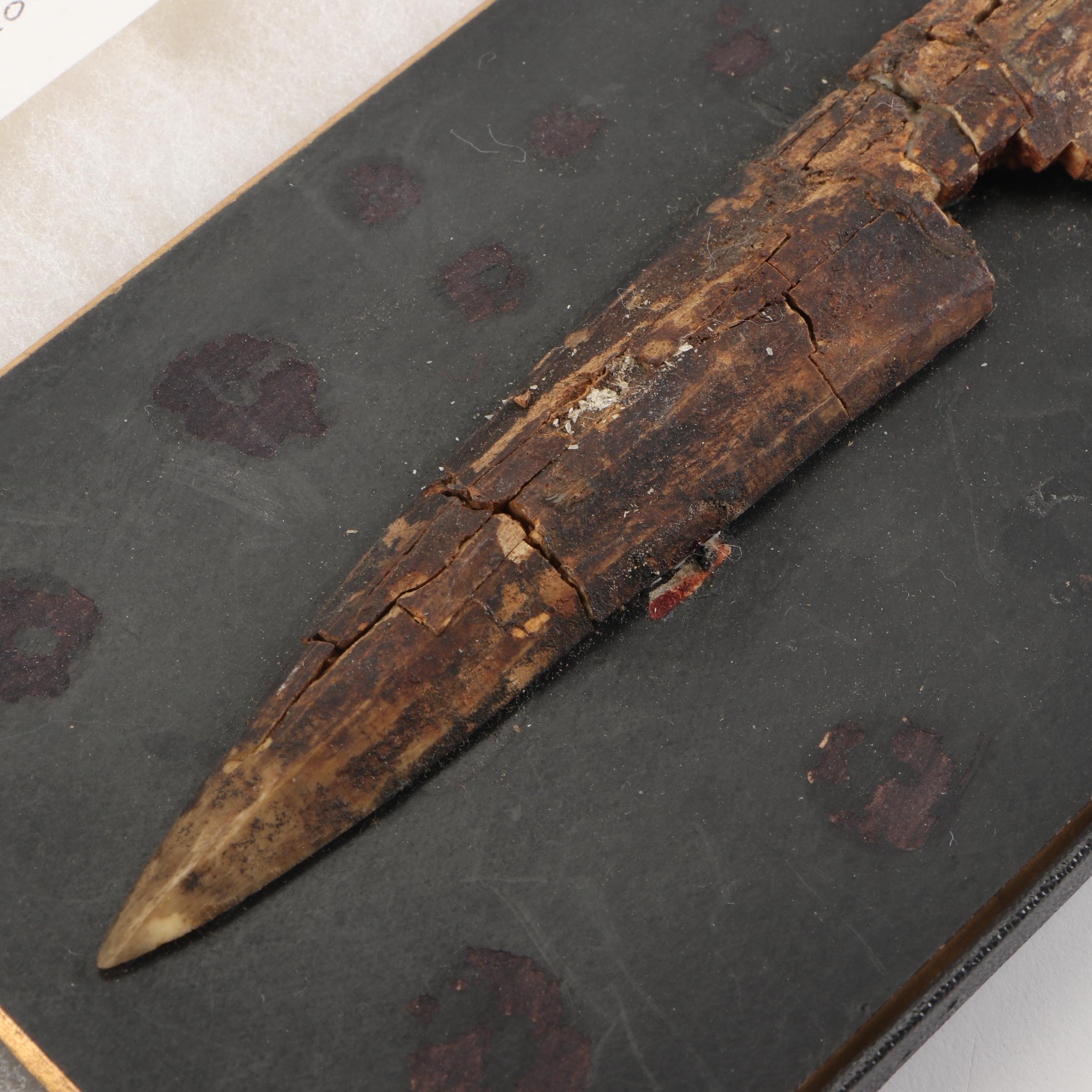 Native American Bone Spear Point
