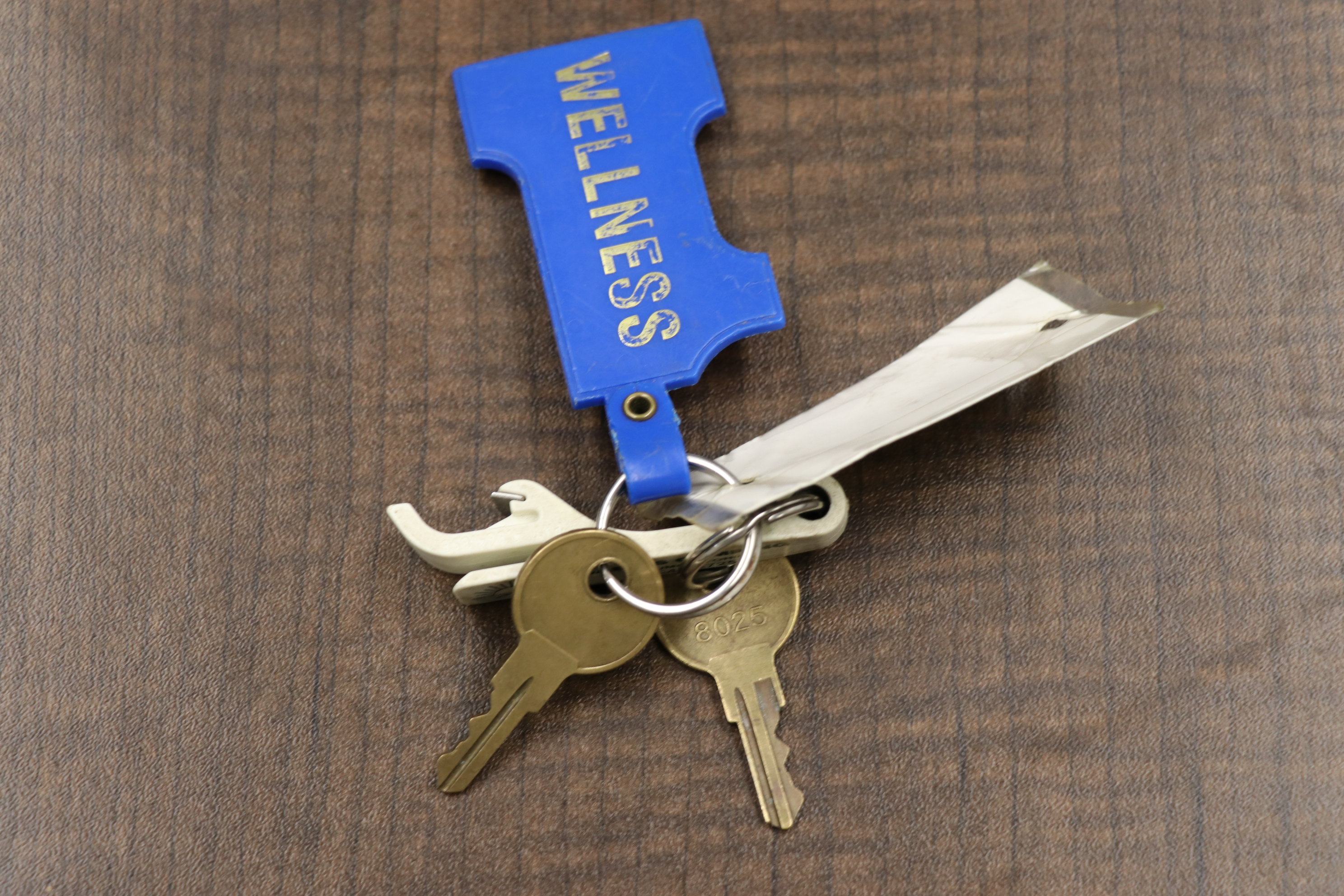 1998 Coleman Fleetwood "Sea Pine" Pop-up Camper