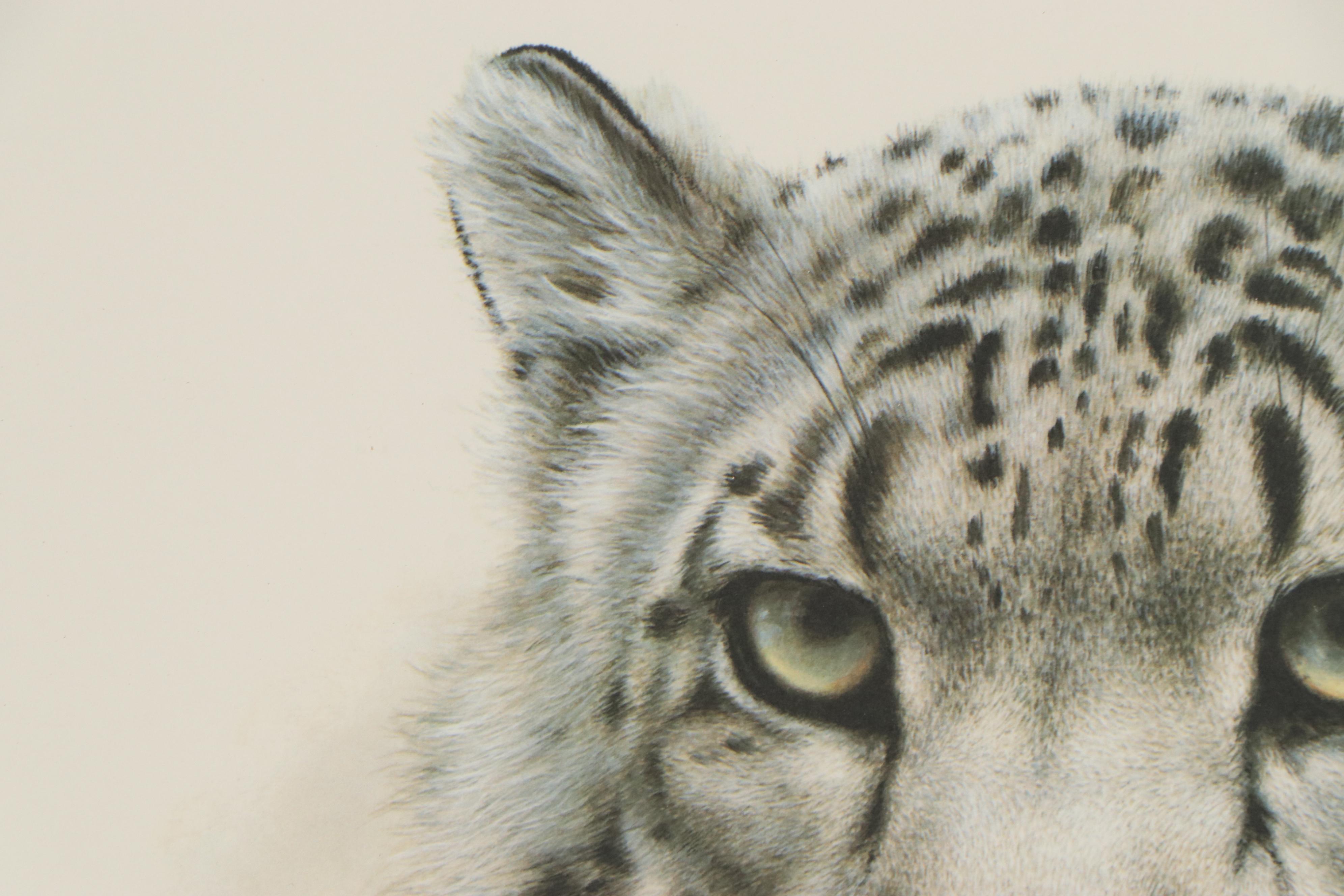 Charles Fracé Offset Lithograph "Snow Leopard," Circa 1979