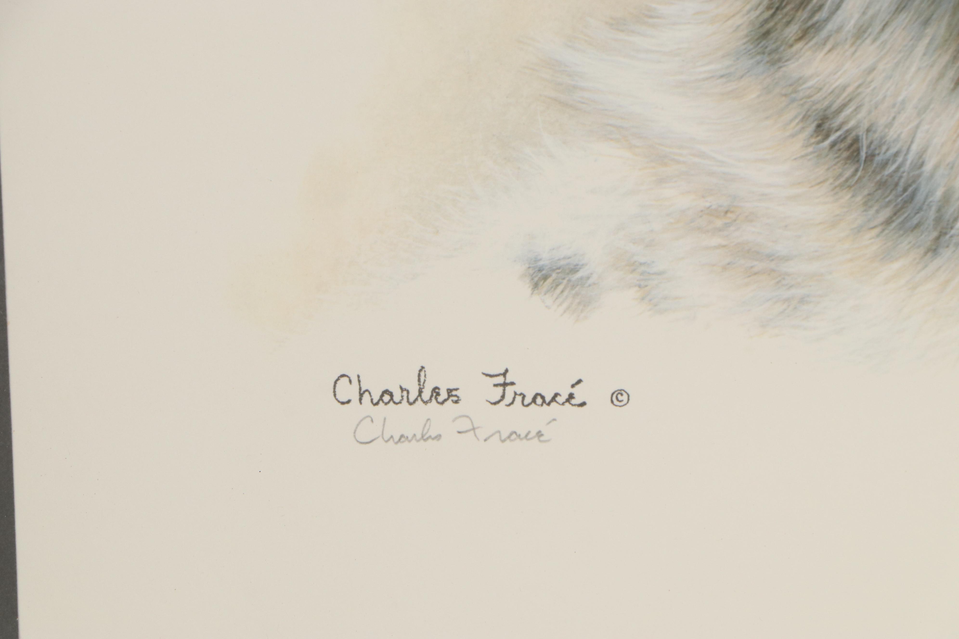 Charles Fracé Offset Lithograph "Snow Leopard," Circa 1979