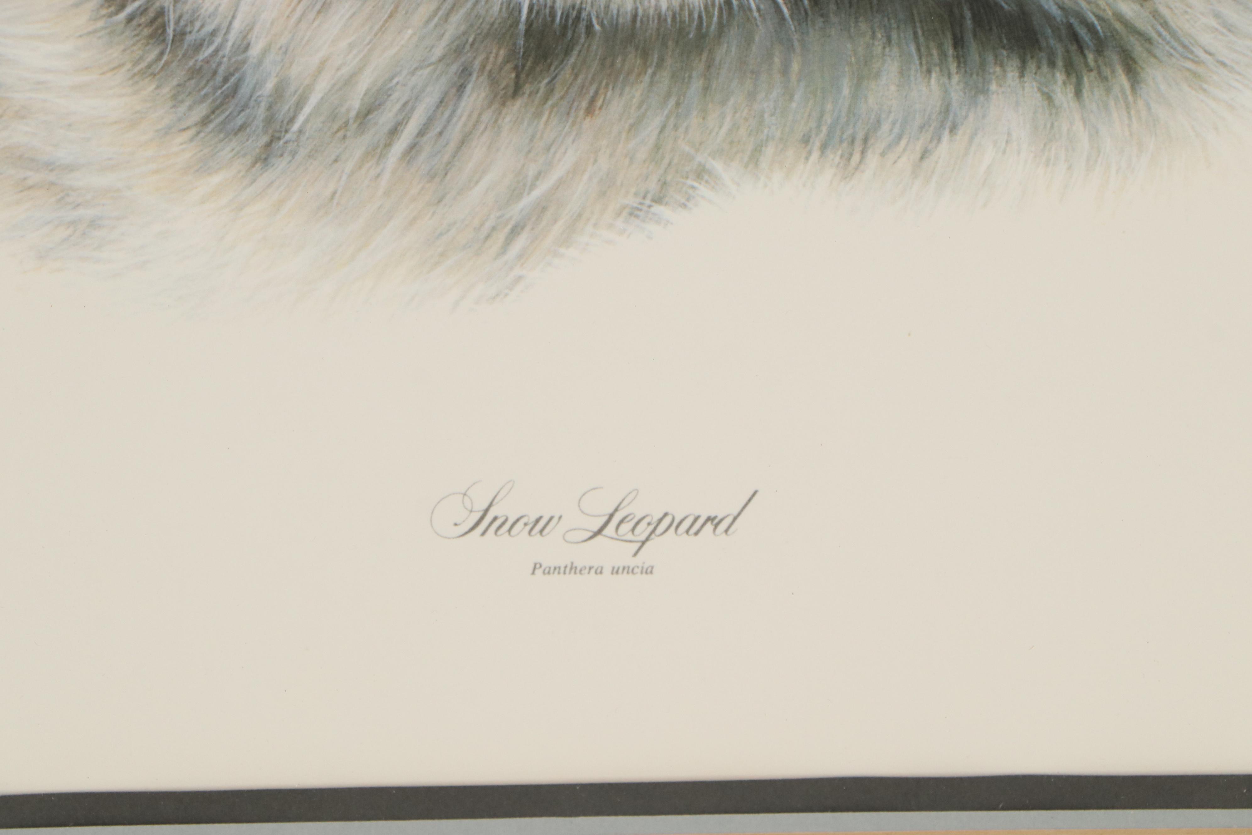 Charles Fracé Offset Lithograph "Snow Leopard," Circa 1979