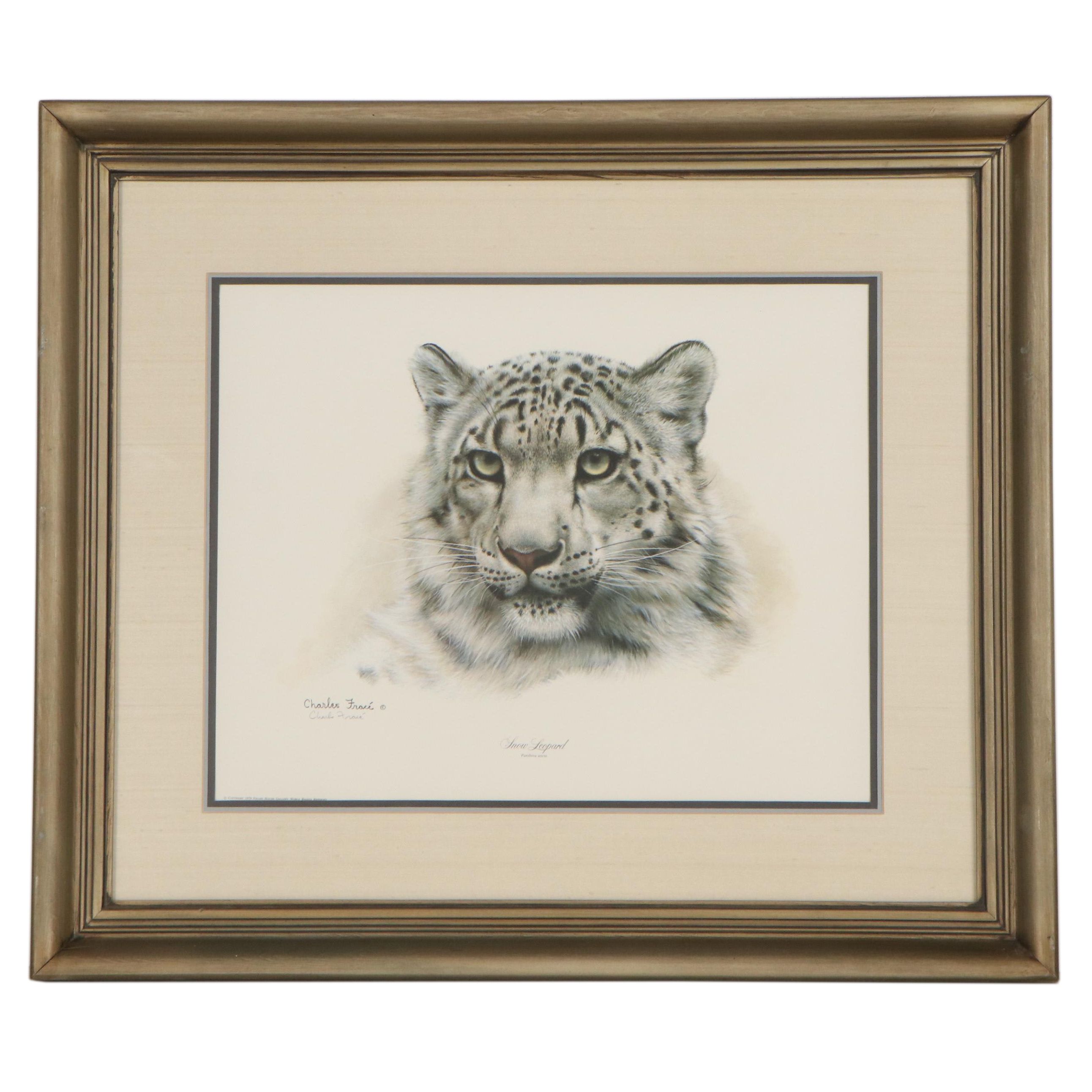 Charles Fracé Offset Lithograph "Snow Leopard," Circa 1979