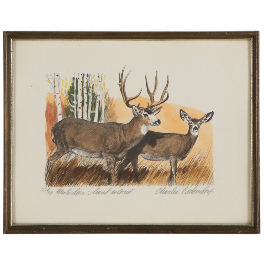 Charles Beckendorf Hand-Colored Halftone "Mule Deer"