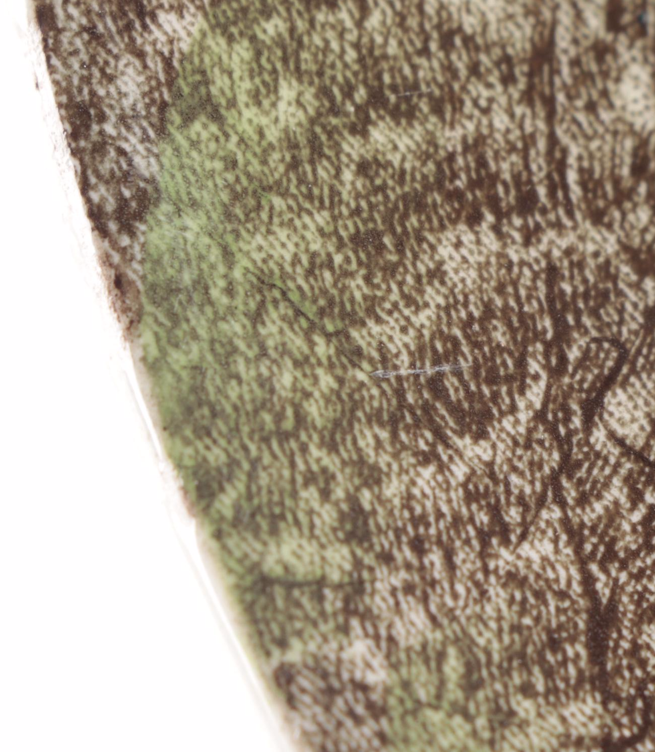 Johnson Bros. "Mount Rushmore" Hand Colored Transferware Plate