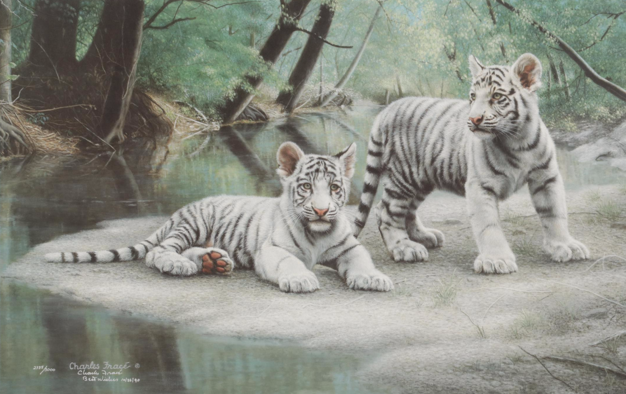 Charles Fracé White Tiger Cubs Offset Lithograph "Partners," 1990