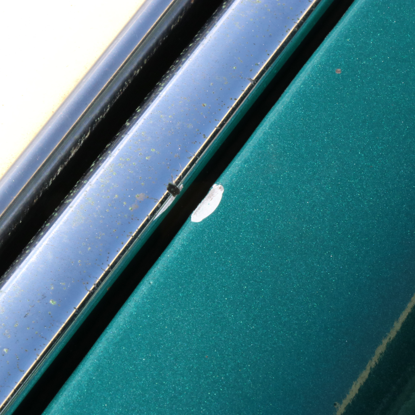 1955 Oldsmobile Super 88