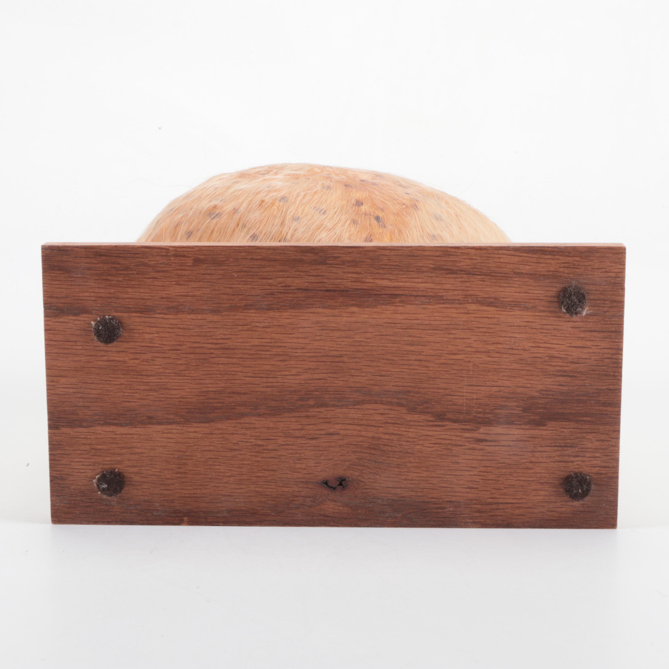 Bull Scrotum "Bullie Bag" on Wood and Metal Stand