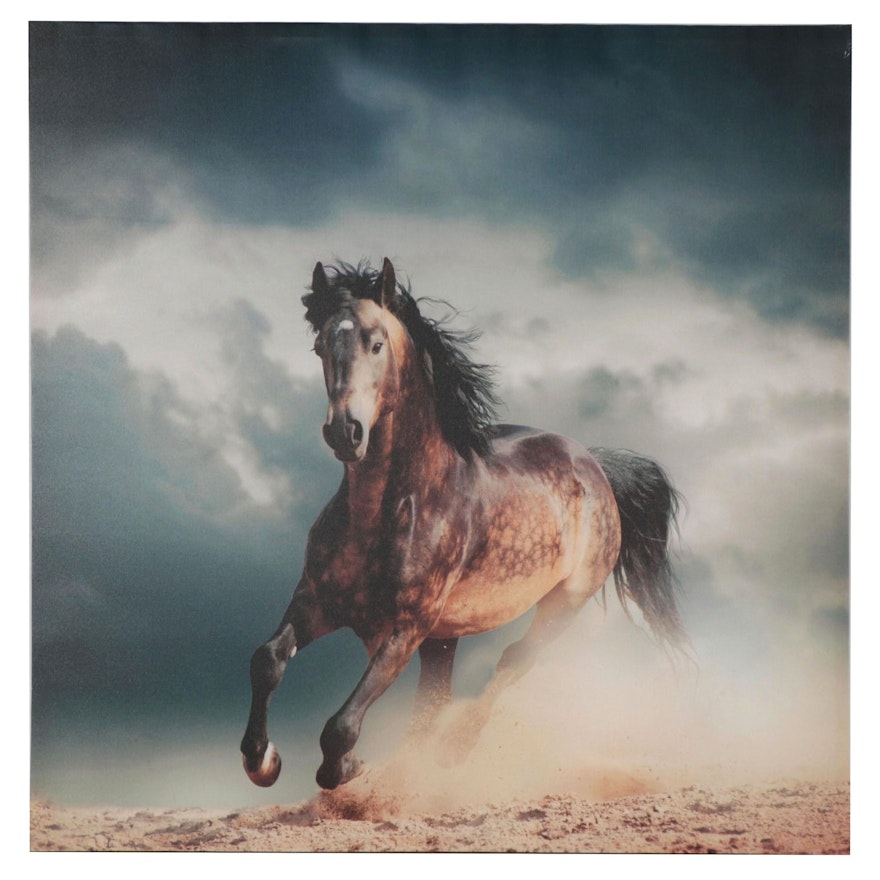 Giclée of Reverse Dapple Horse, 21st Century