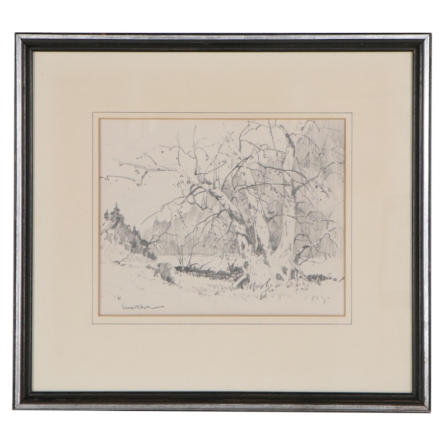 Gerhard C.F. Miller Graphite Drawing "The Old Tree," Late 20th Century