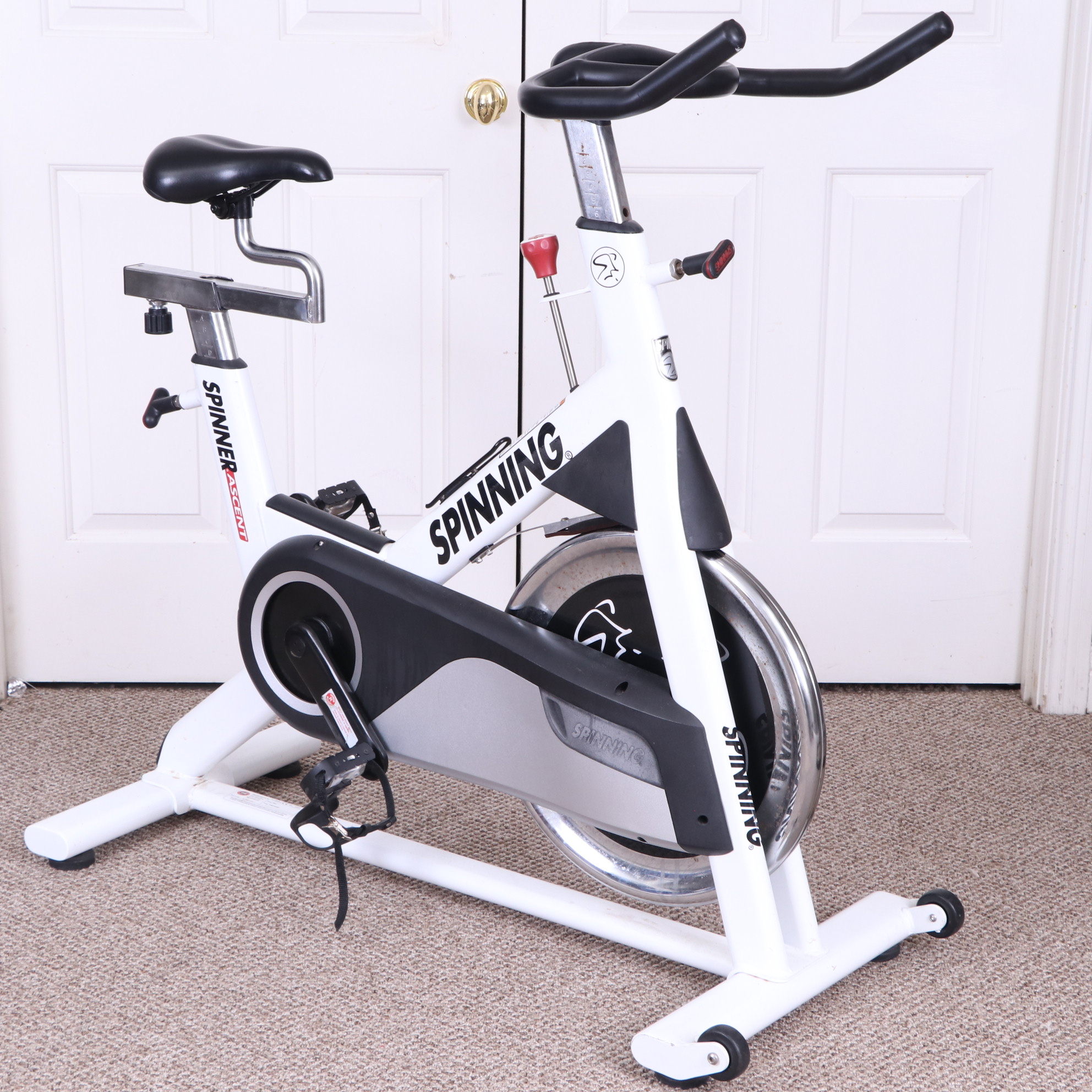 Mad dogg spin bikes 2025