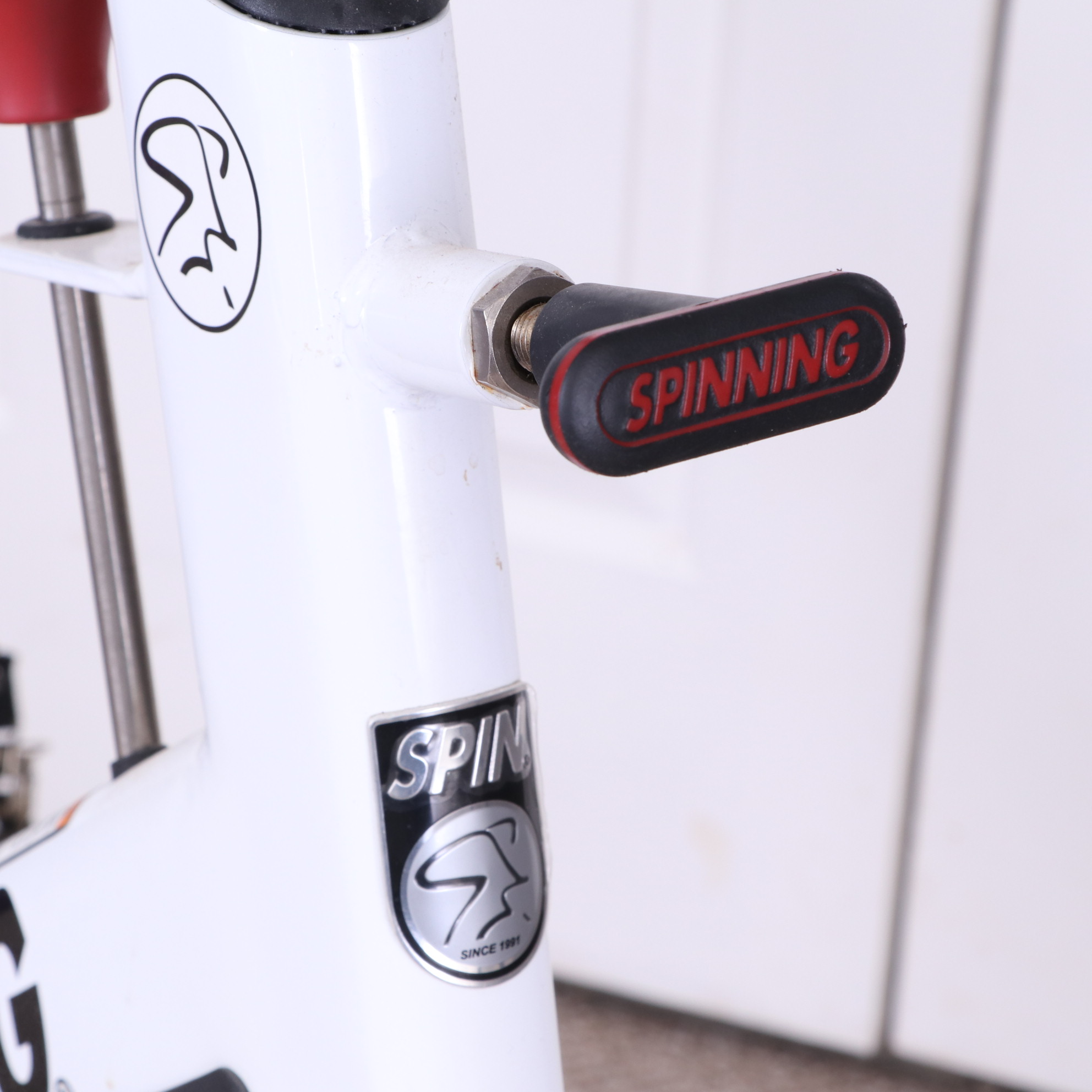 Mad Dogg Athletics Ascent Spinning Stationary Bike