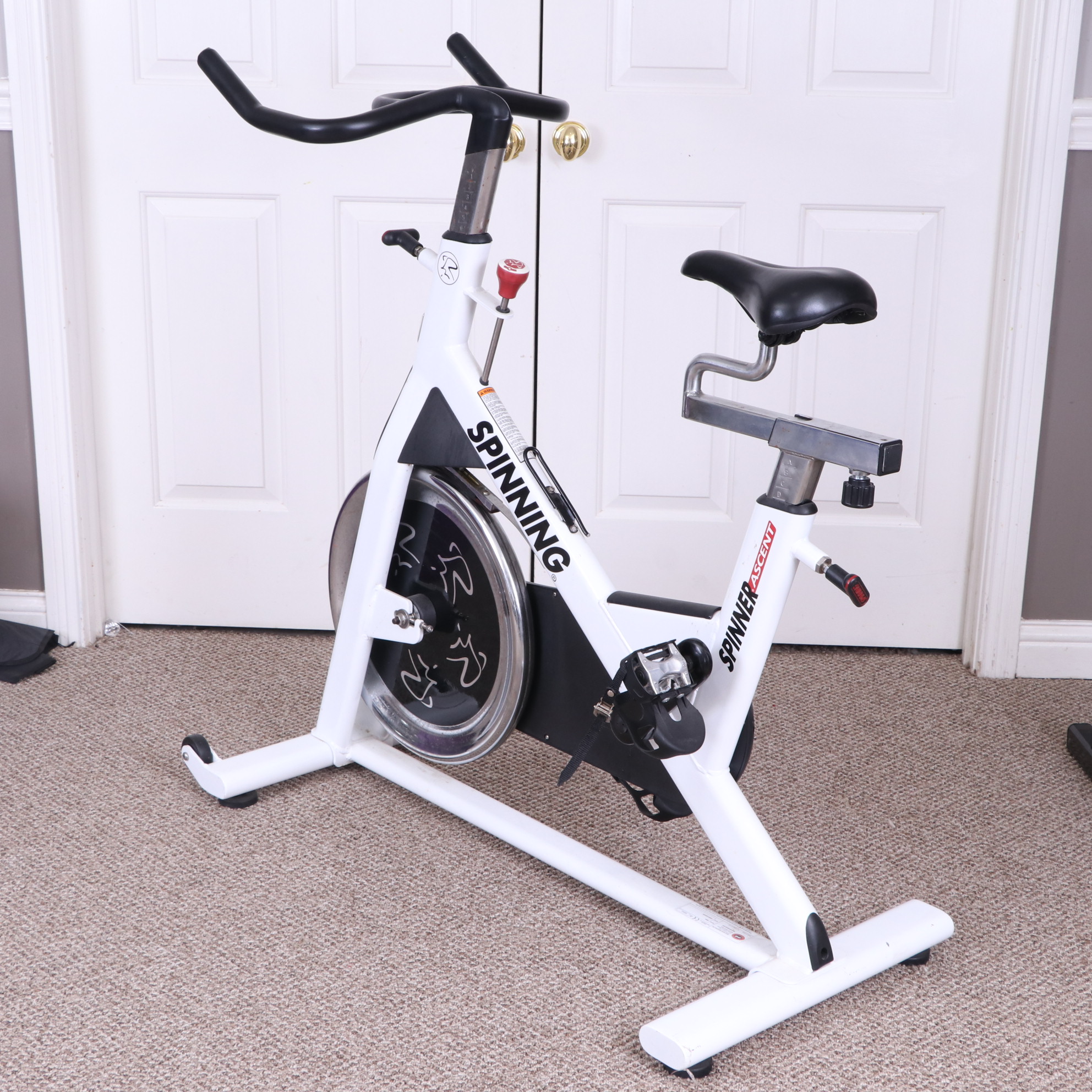 Mad Dogg Athletics Ascent Spinning Stationary Bike