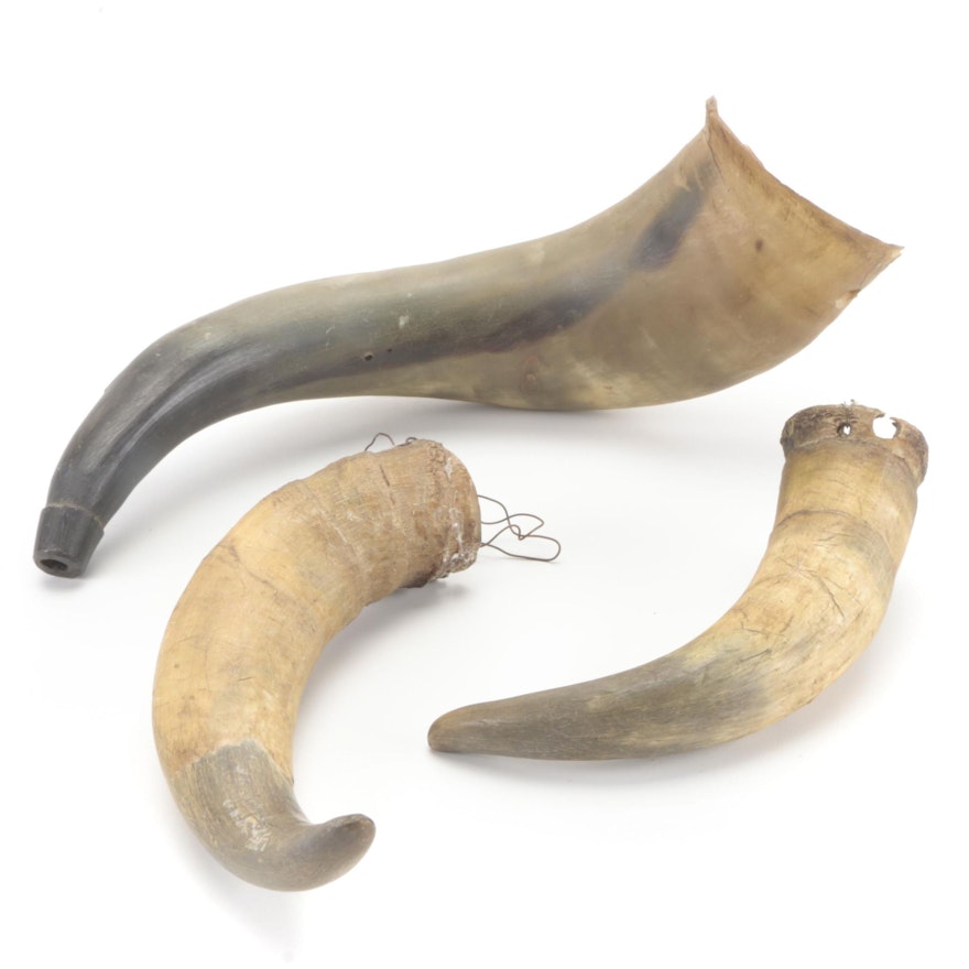 Powder Horn with Other Decorative Horns