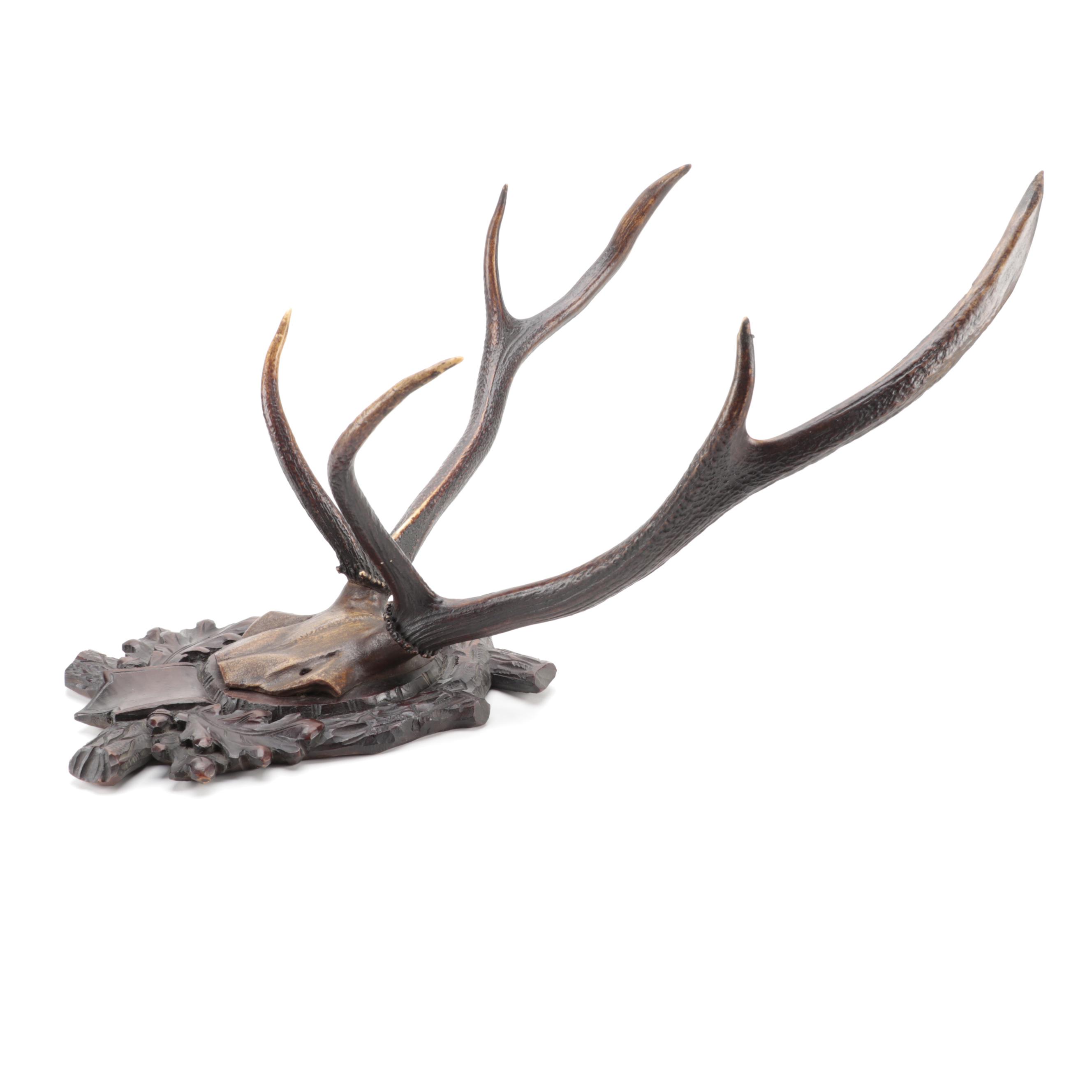 Taxidermy Black Forest Red Deer Antler Mount with Other Resin Antler Wall Mounts