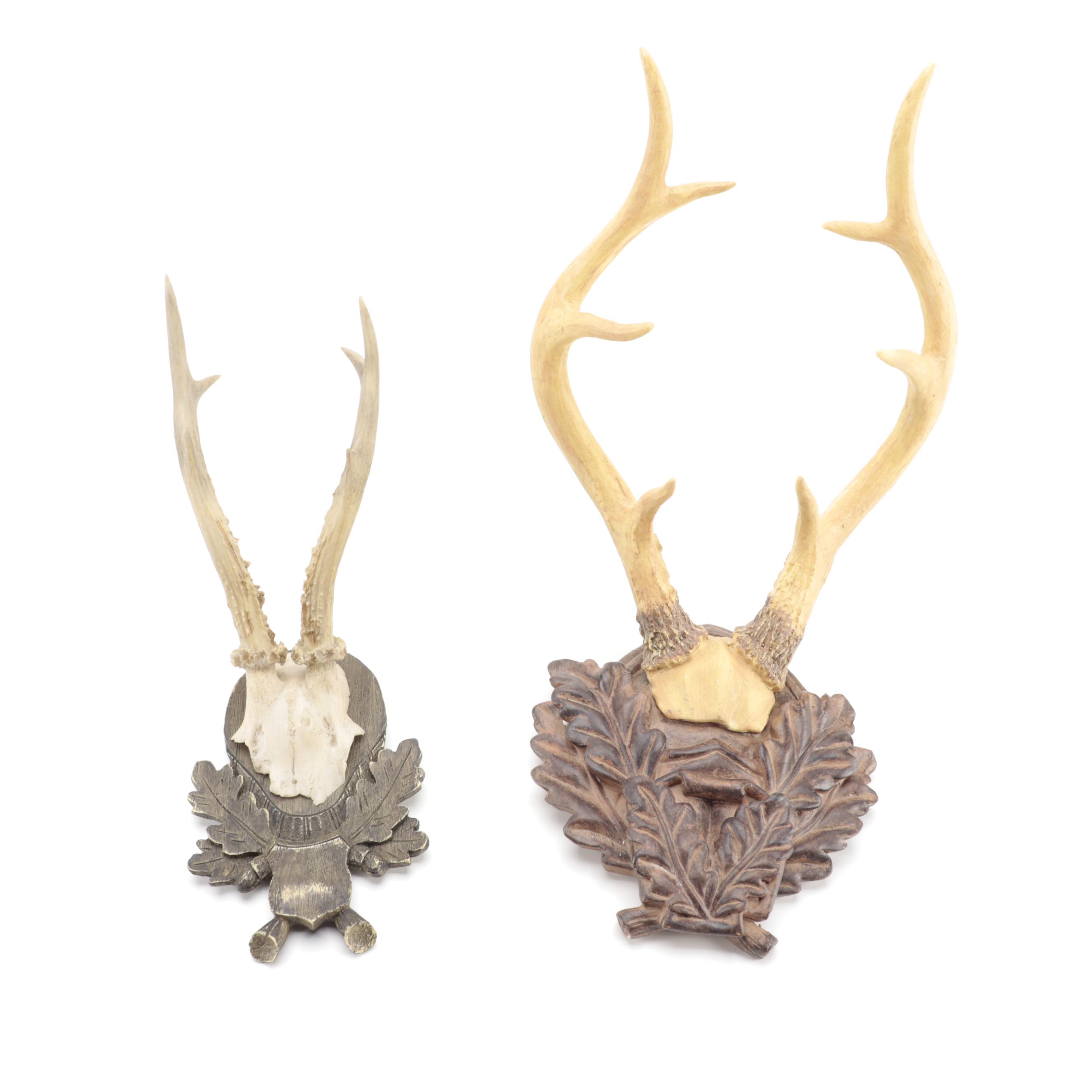 Taxidermy Black Forest Red Deer Antler Mount with Other Resin Antler Wall Mounts