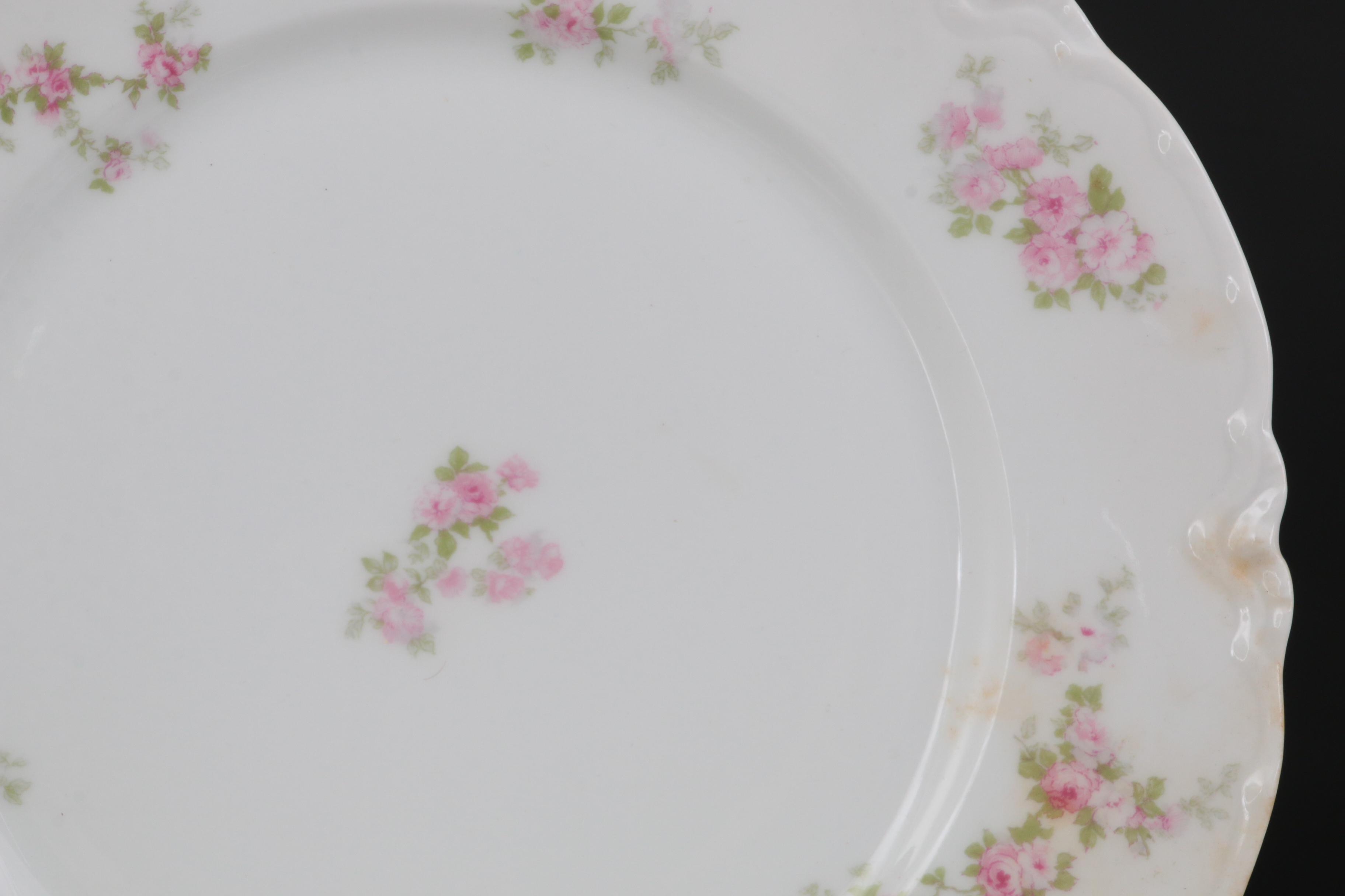 Haviland Limoges and Hutschenreuther Pink Floral Porcelain Dinnerware