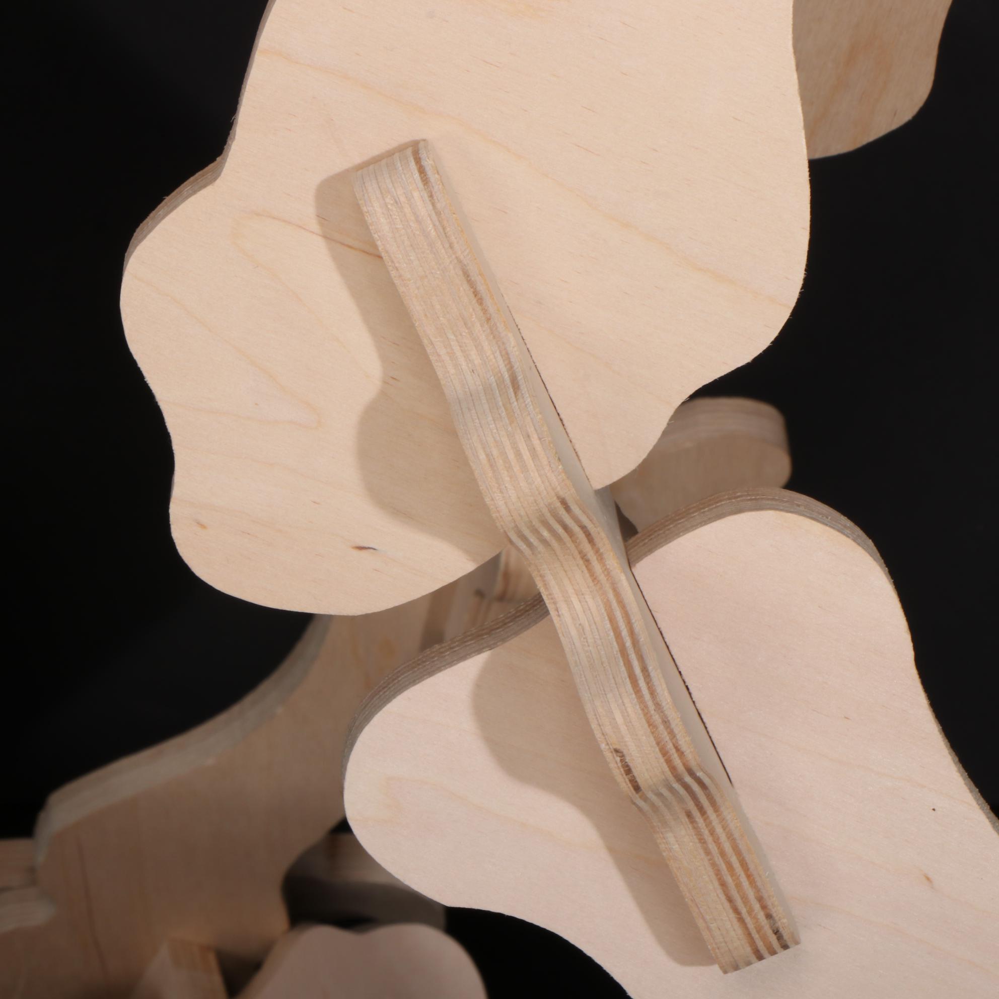 B. C. Bones "Velociraptor" Life Size 3D Plywood Skeleton Model, 1999