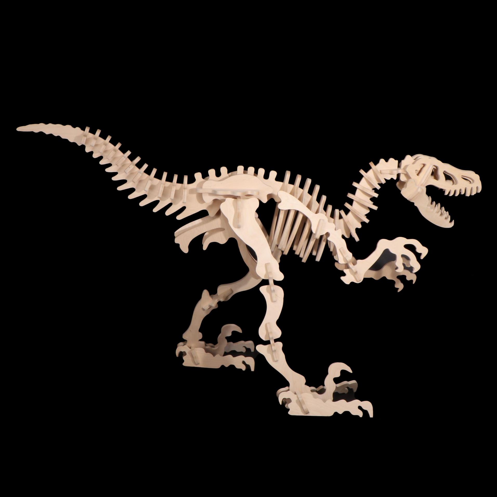 B. C. Bones "Velociraptor" Life Size 3D Plywood Skeleton Model, 1999