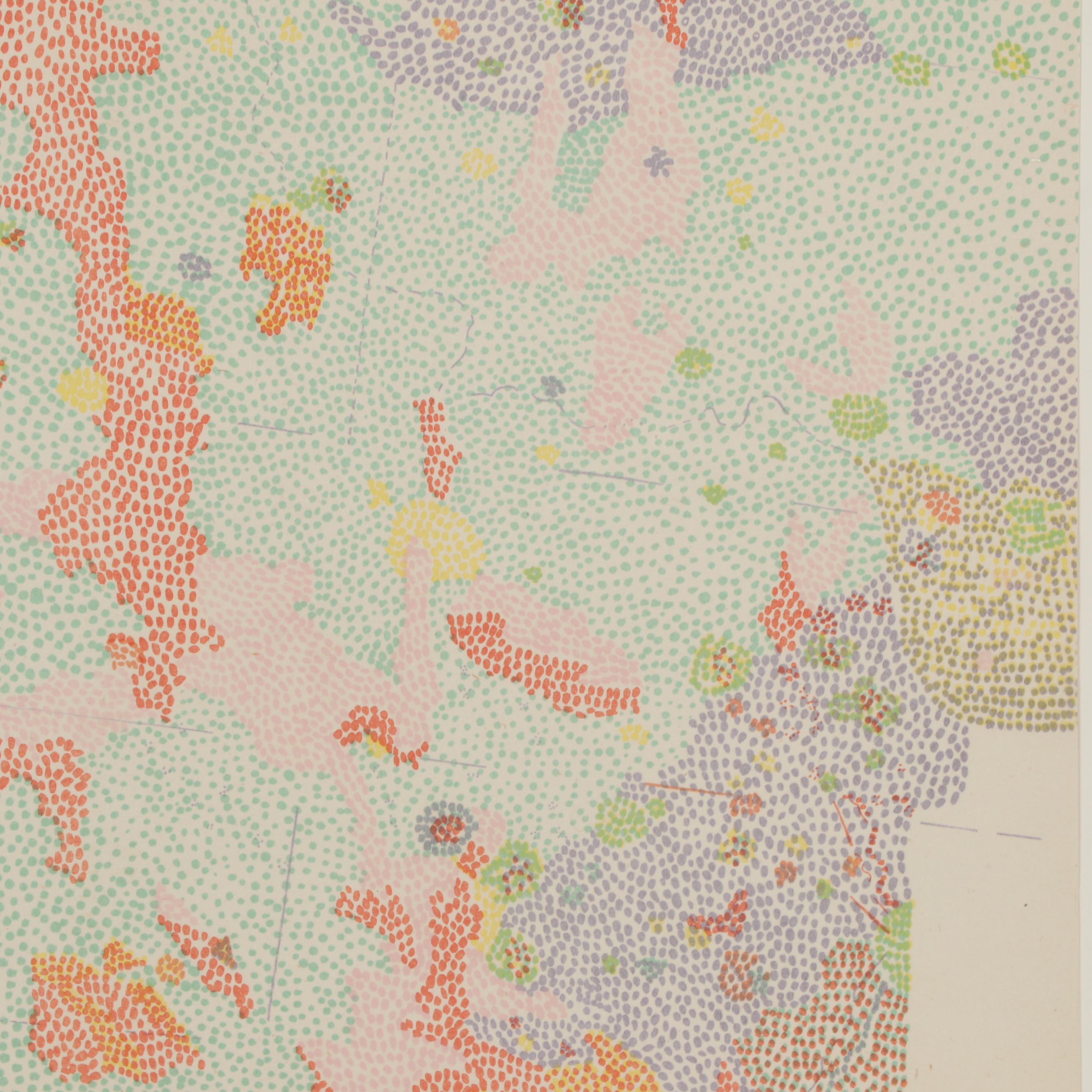 Nancy Graves Lithograph "III Maestlin G Region of the Moon," 1972