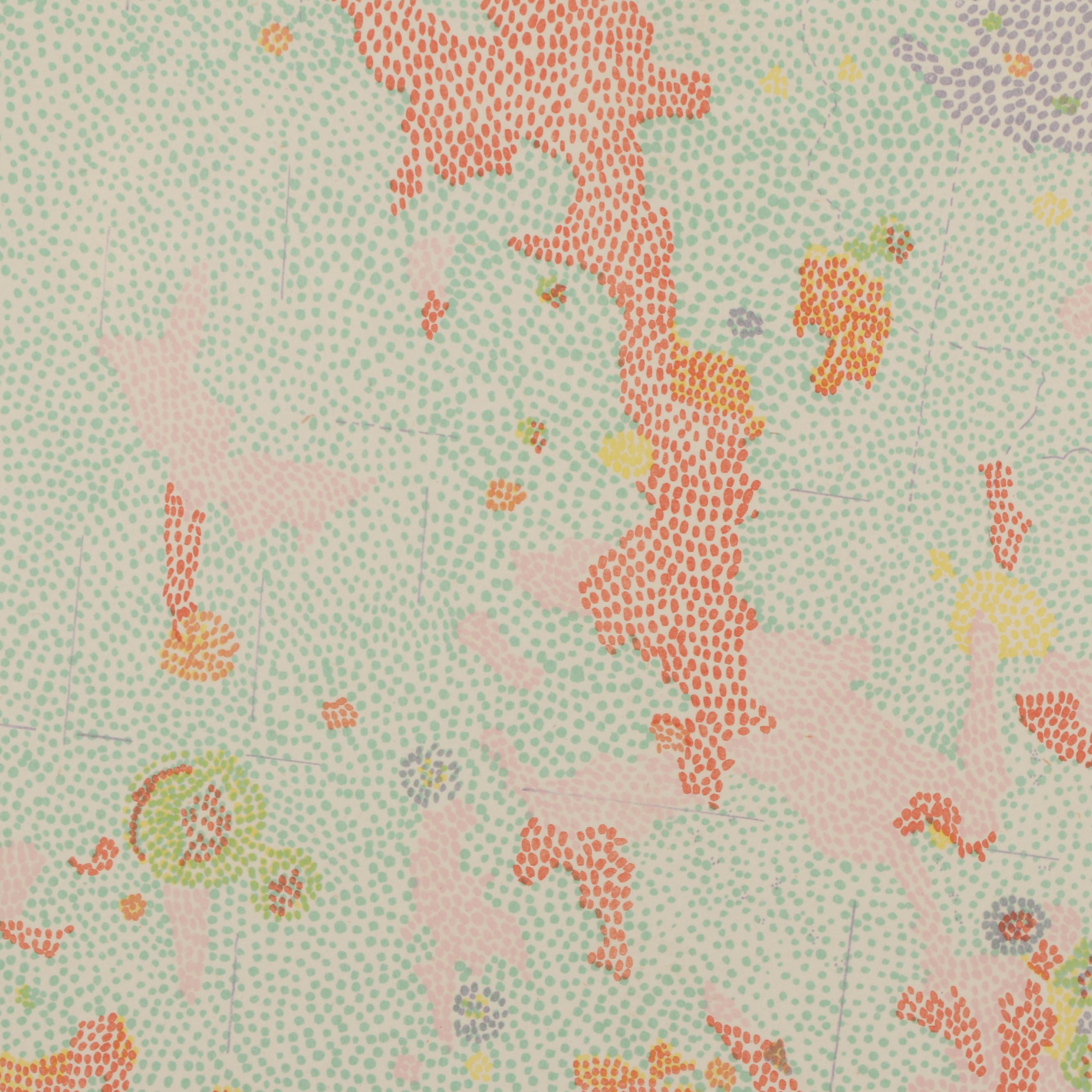 Nancy Graves Lithograph "III Maestlin G Region of the Moon," 1972