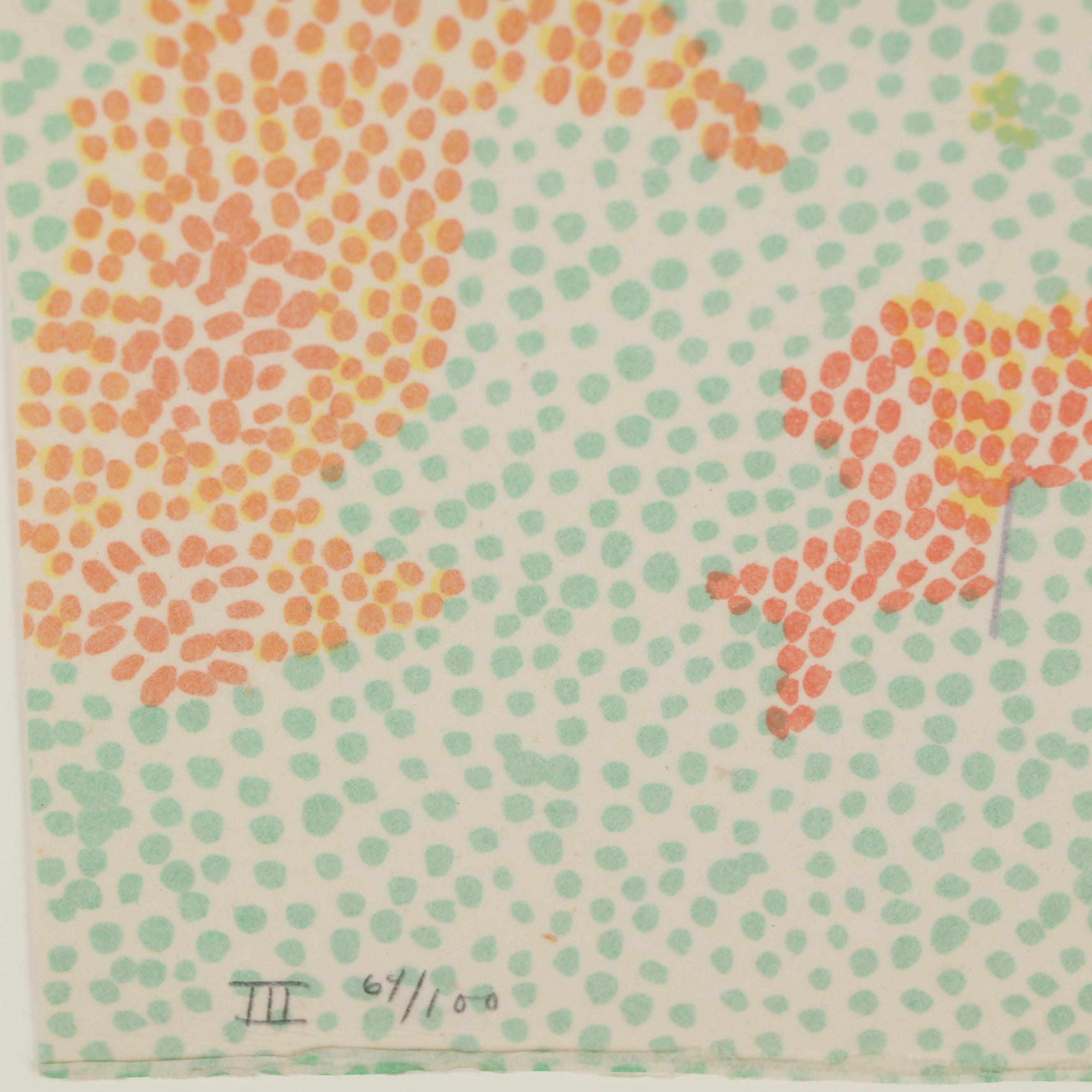 Nancy Graves Lithograph "III Maestlin G Region of the Moon," 1972