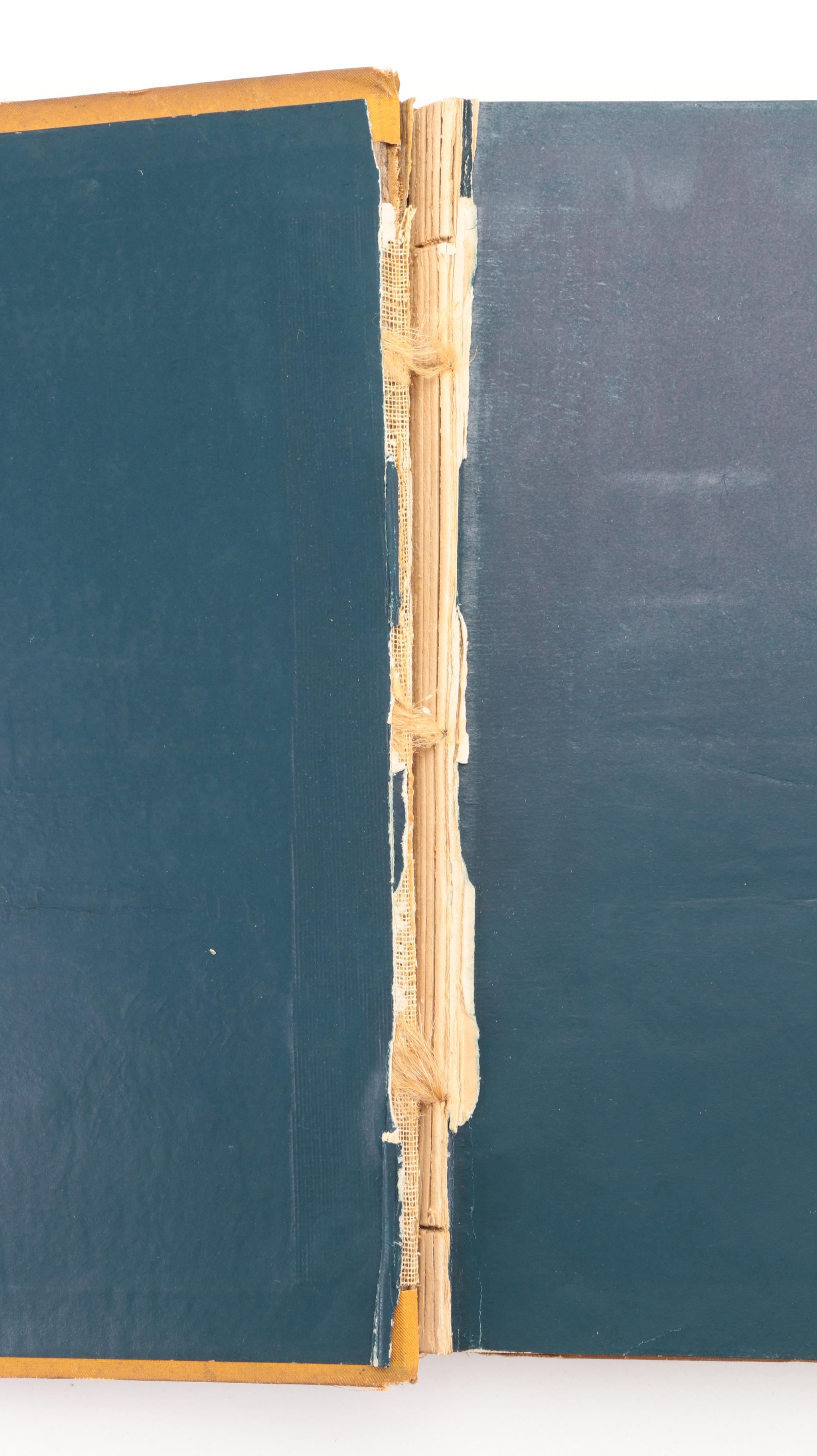 Illustrated "Picturesque Washington" by Joseph West Moore, 1884