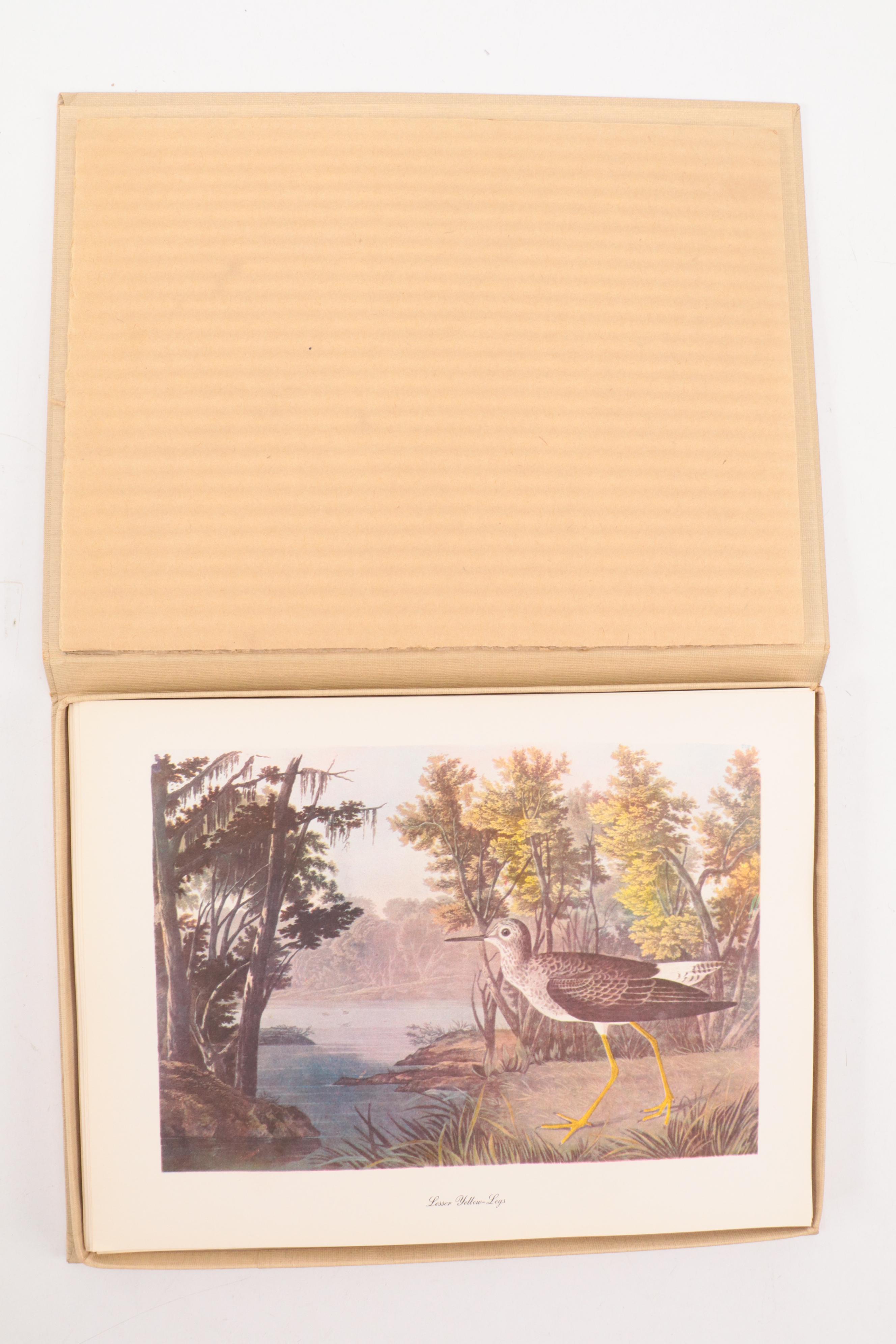 "Birds of America" Print Collection by Audubon and Roger Tory Peterson