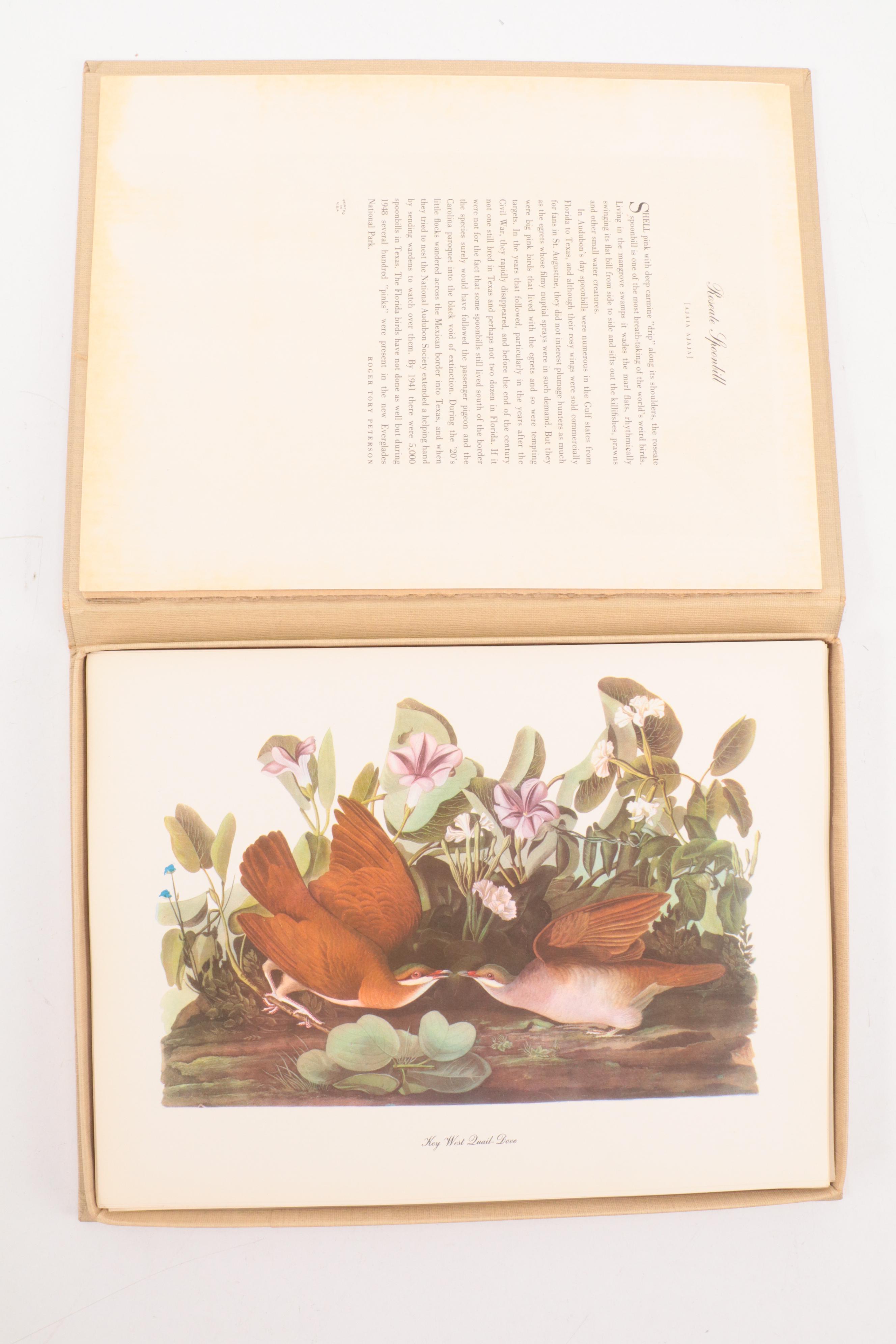 "Birds of America" Print Collection by Audubon and Roger Tory Peterson