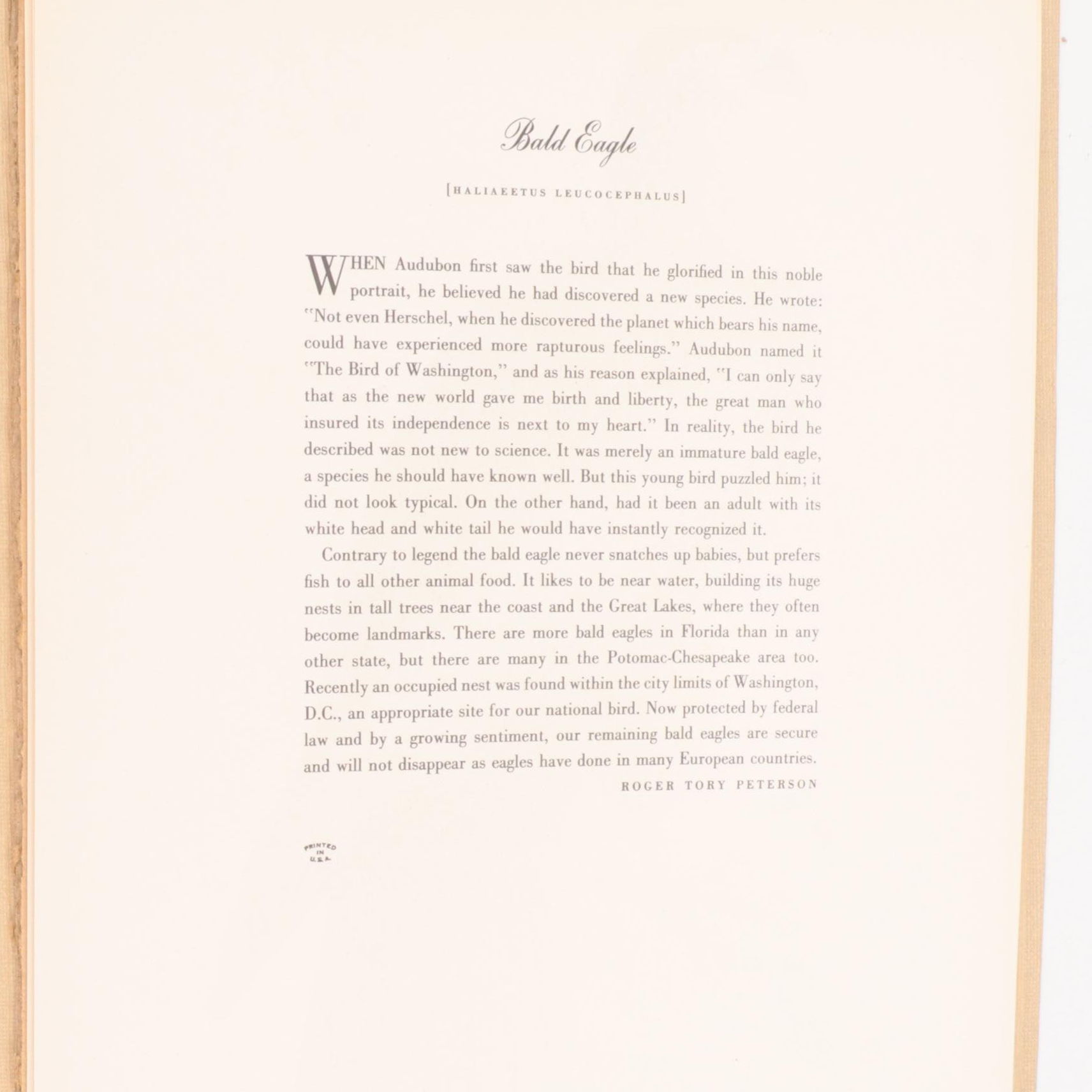 "Birds of America" Print Collection by Audubon and Roger Tory Peterson