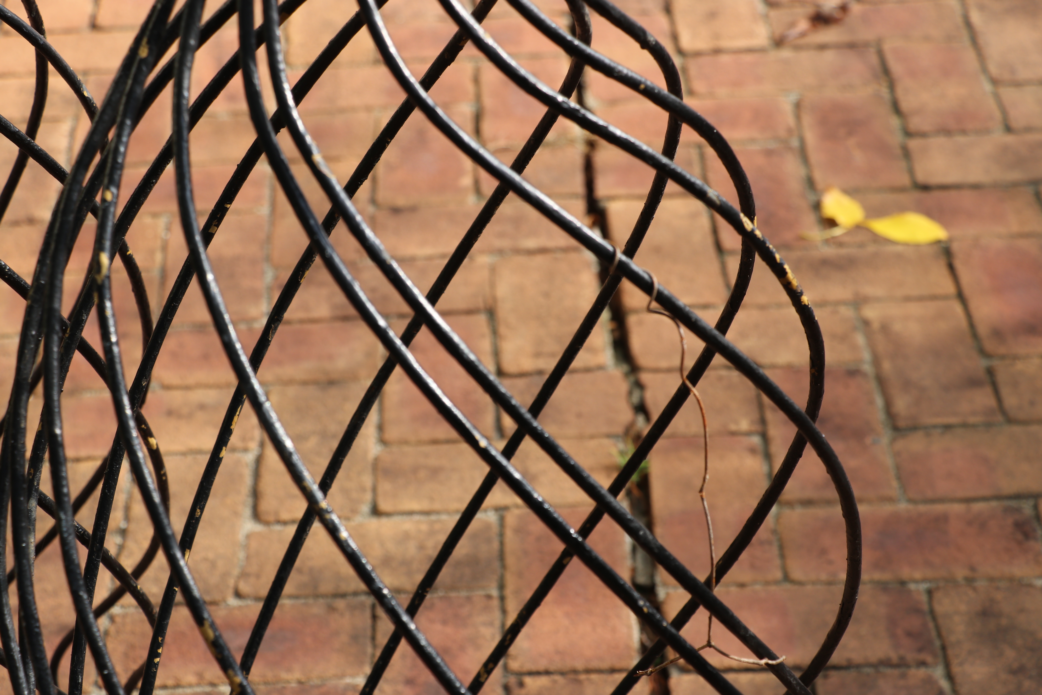 Iron Topiary Frames and Oblong Planter with a Robin's Egg Blue Liner