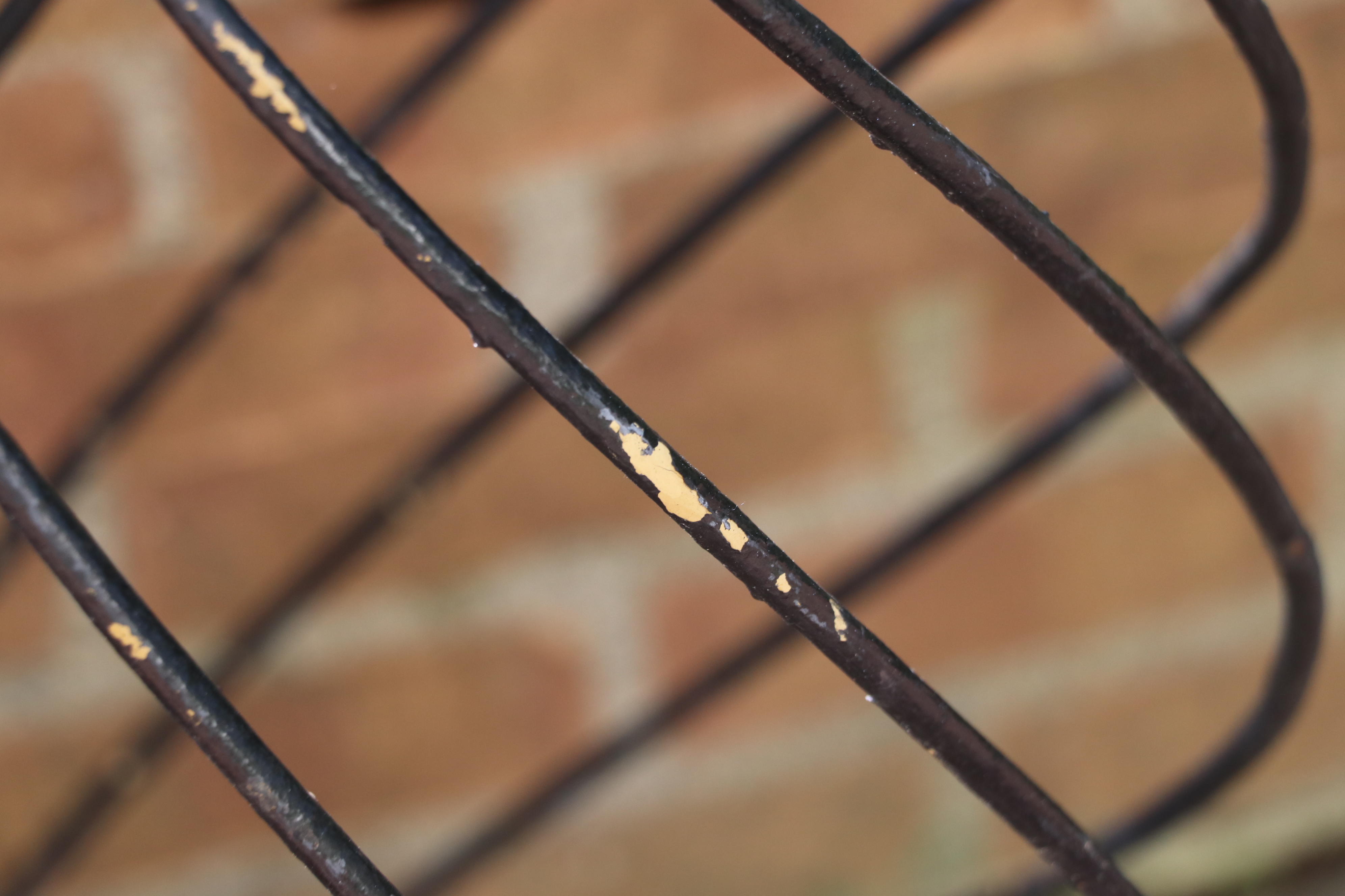 Iron Topiary Frames and Oblong Planter with a Robin's Egg Blue Liner