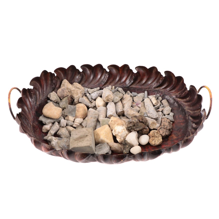 Scalloped Edge Metal Centerpiece Tray with Stones and Fossil Specimens