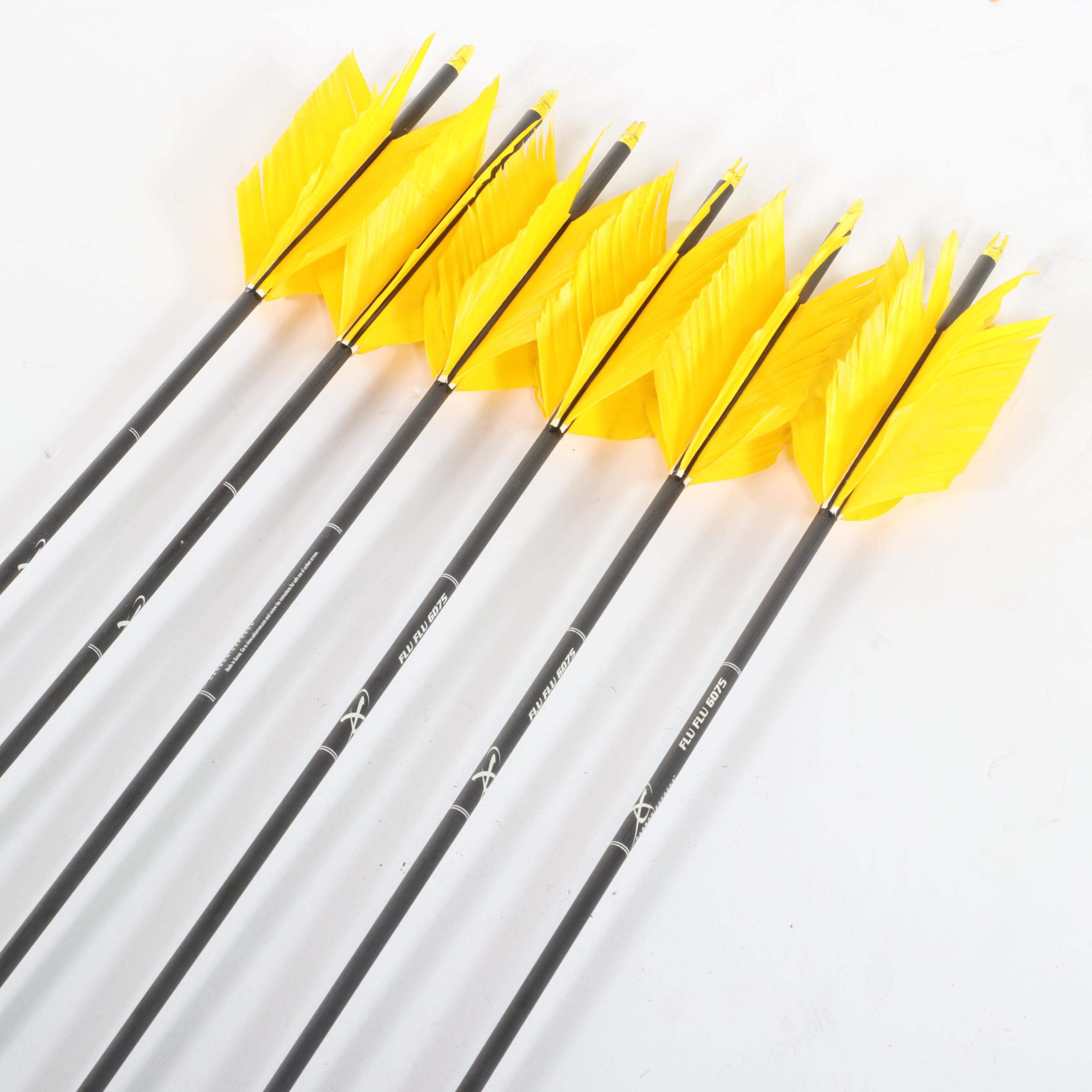 Delta McKenzie "Wedgie" Archery Target Bag & Six Carbon Express "Flu-Flu" Arrows