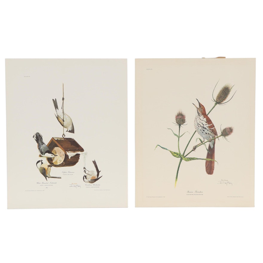 Ray Harm Offset Lithographs "Brown Thrasher" and More