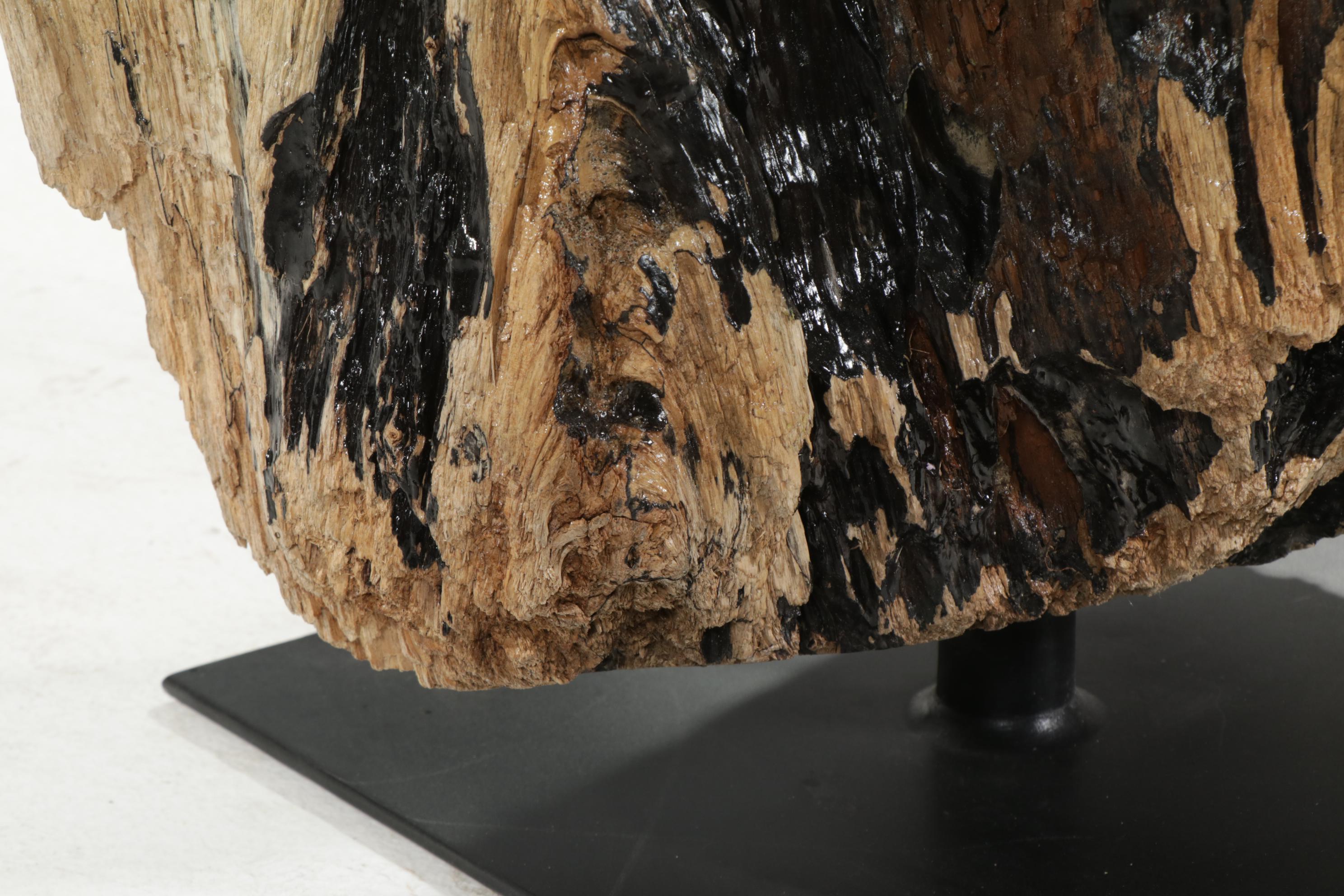 Contemporary Glass Top Coffee Table on Driftwood and Steel Base