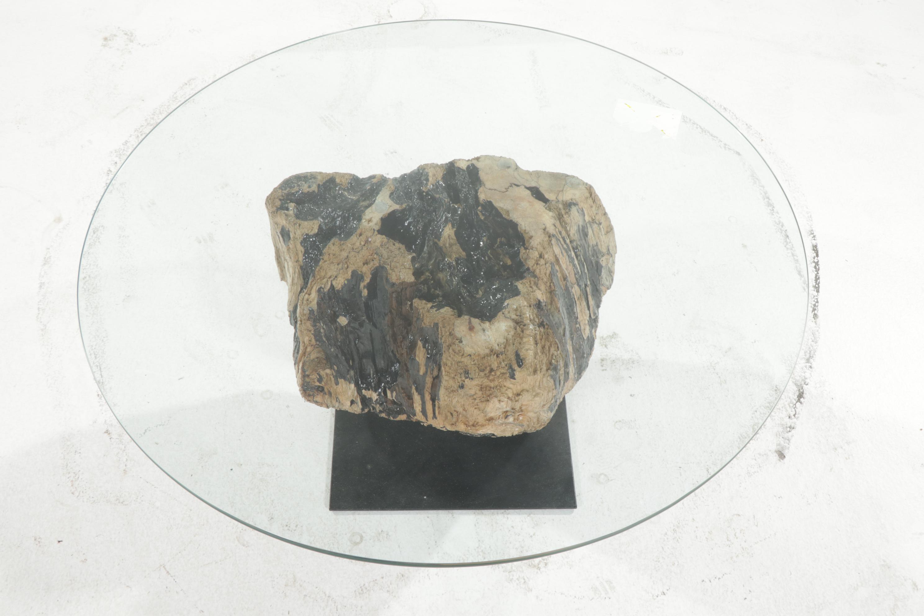 Contemporary Glass Top Coffee Table on Driftwood and Steel Base