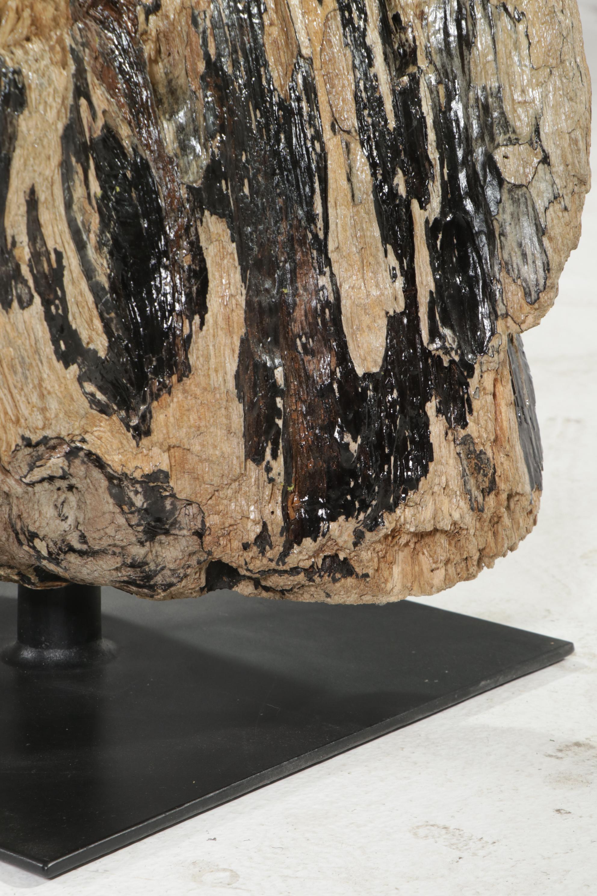 Contemporary Glass Top Coffee Table on Driftwood and Steel Base