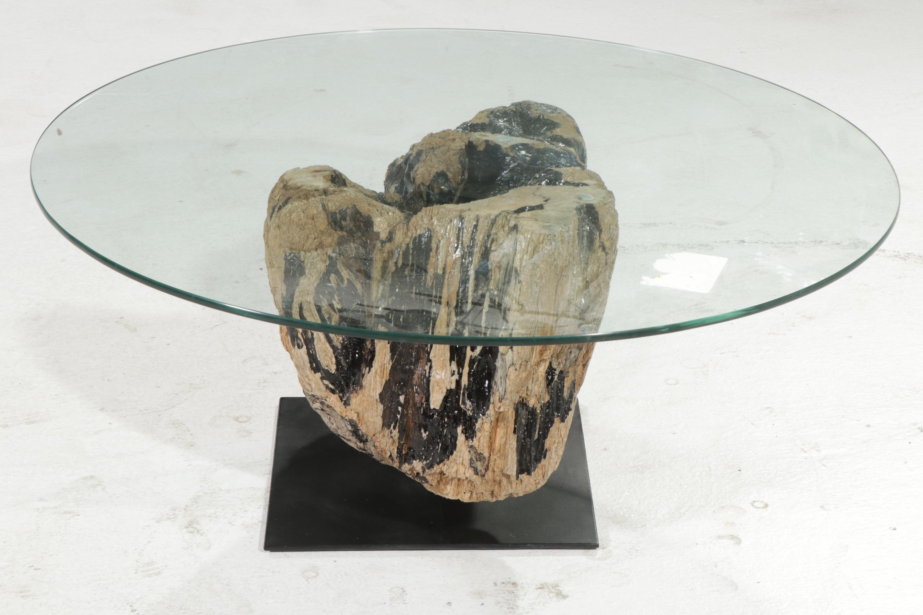 Contemporary Glass Top Coffee Table on Driftwood and Steel Base