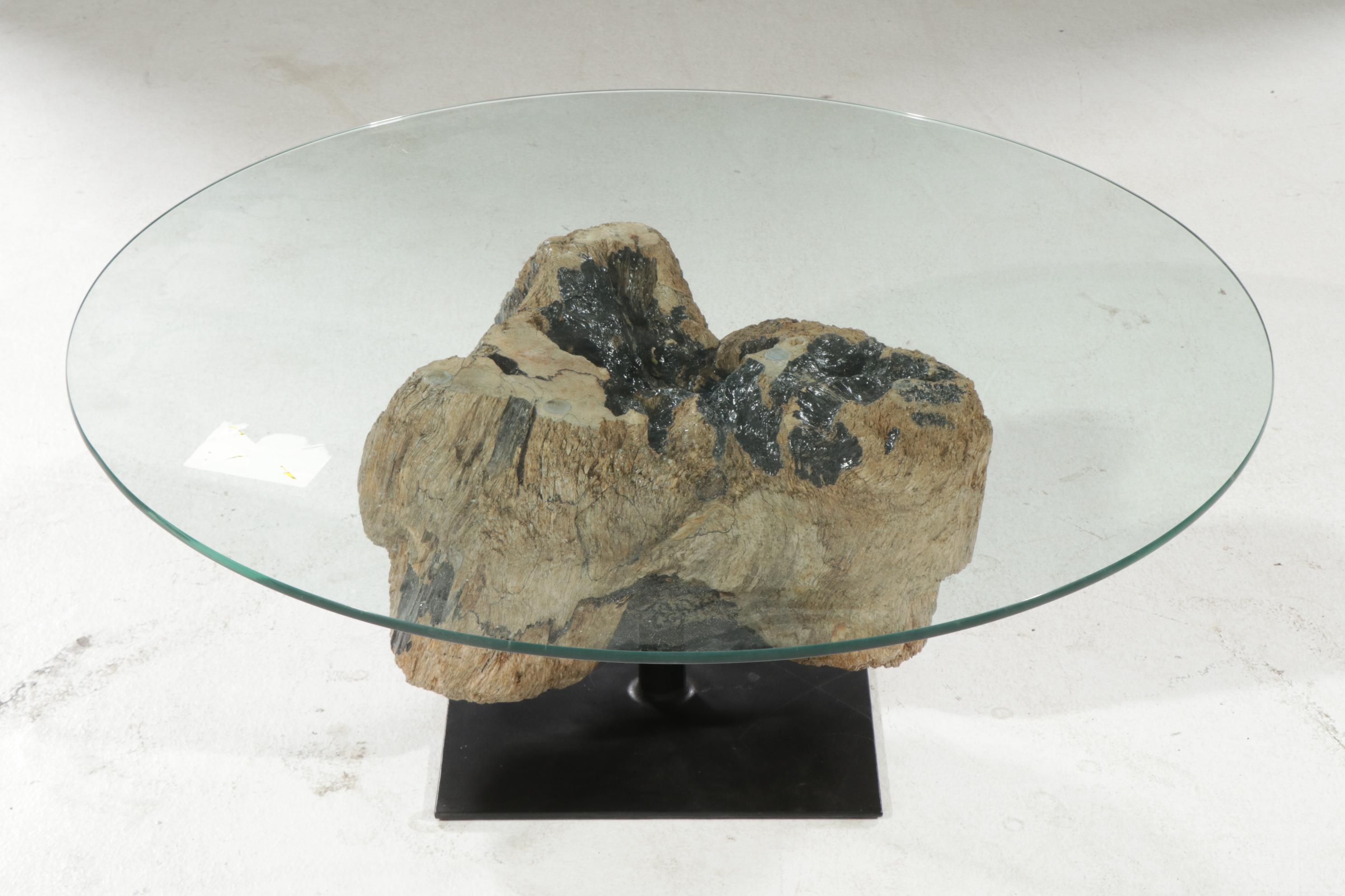 Contemporary Glass Top Coffee Table on Driftwood and Steel Base
