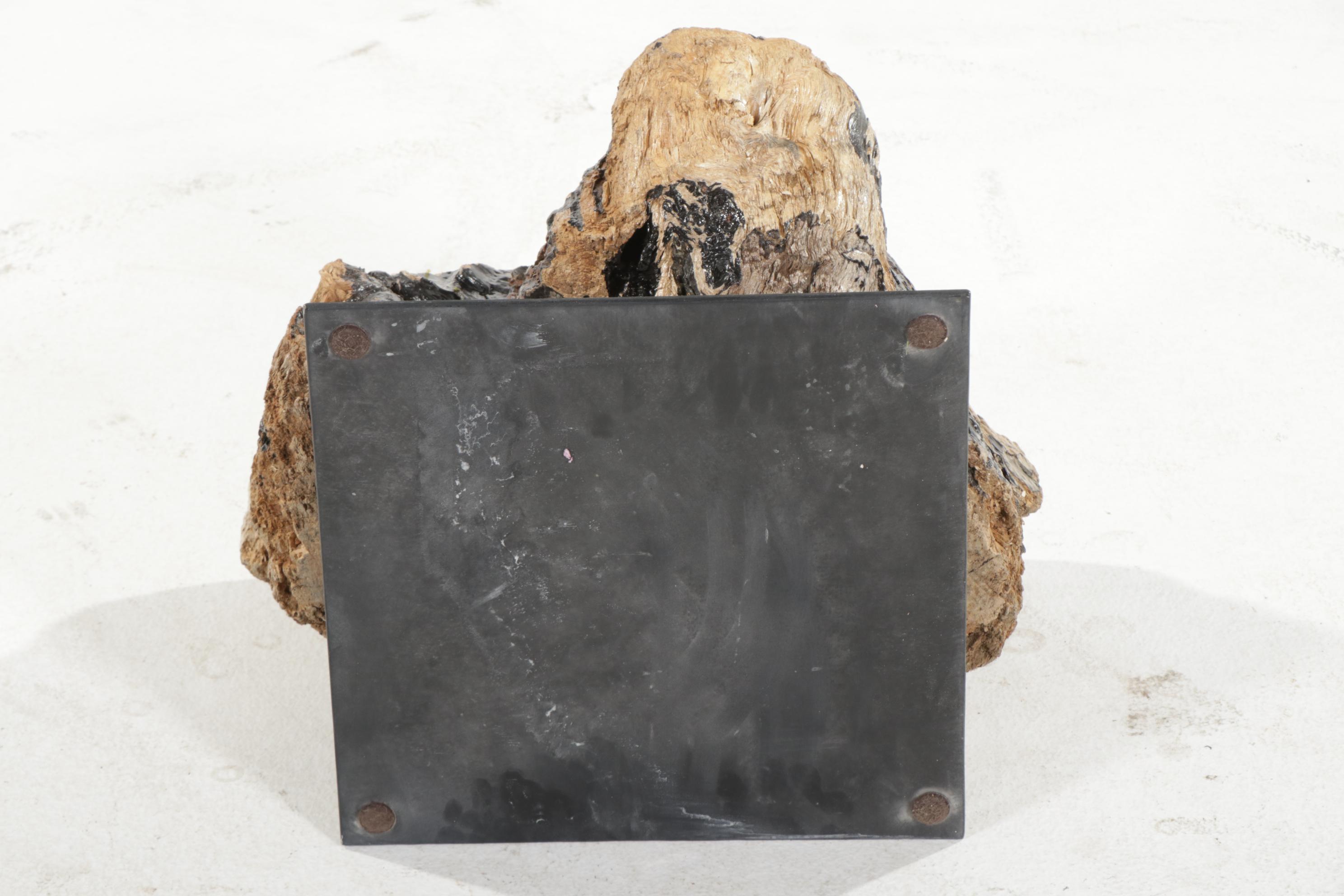 Contemporary Glass Top Coffee Table on Driftwood and Steel Base