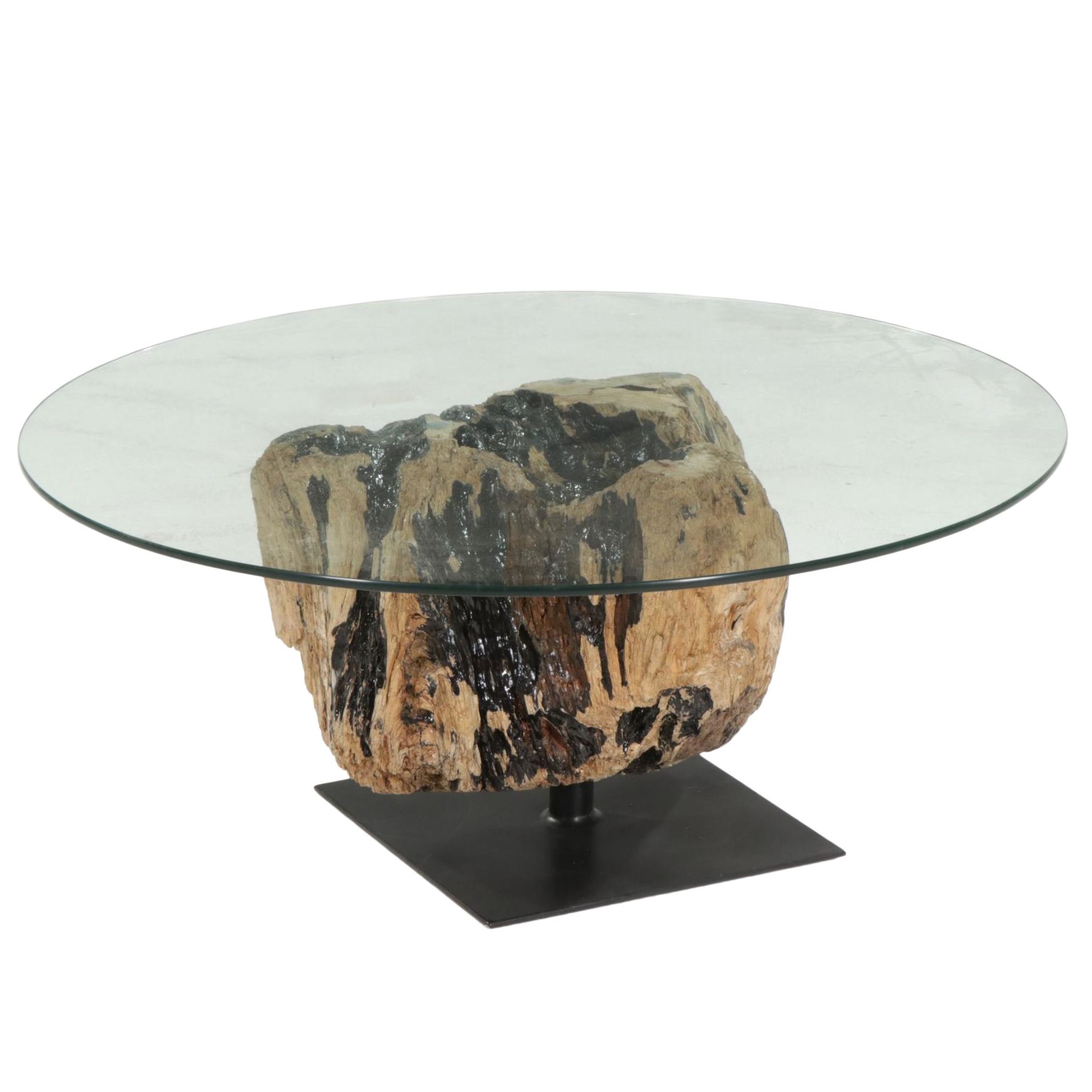 Contemporary Glass Top Coffee Table on Driftwood and Steel Base