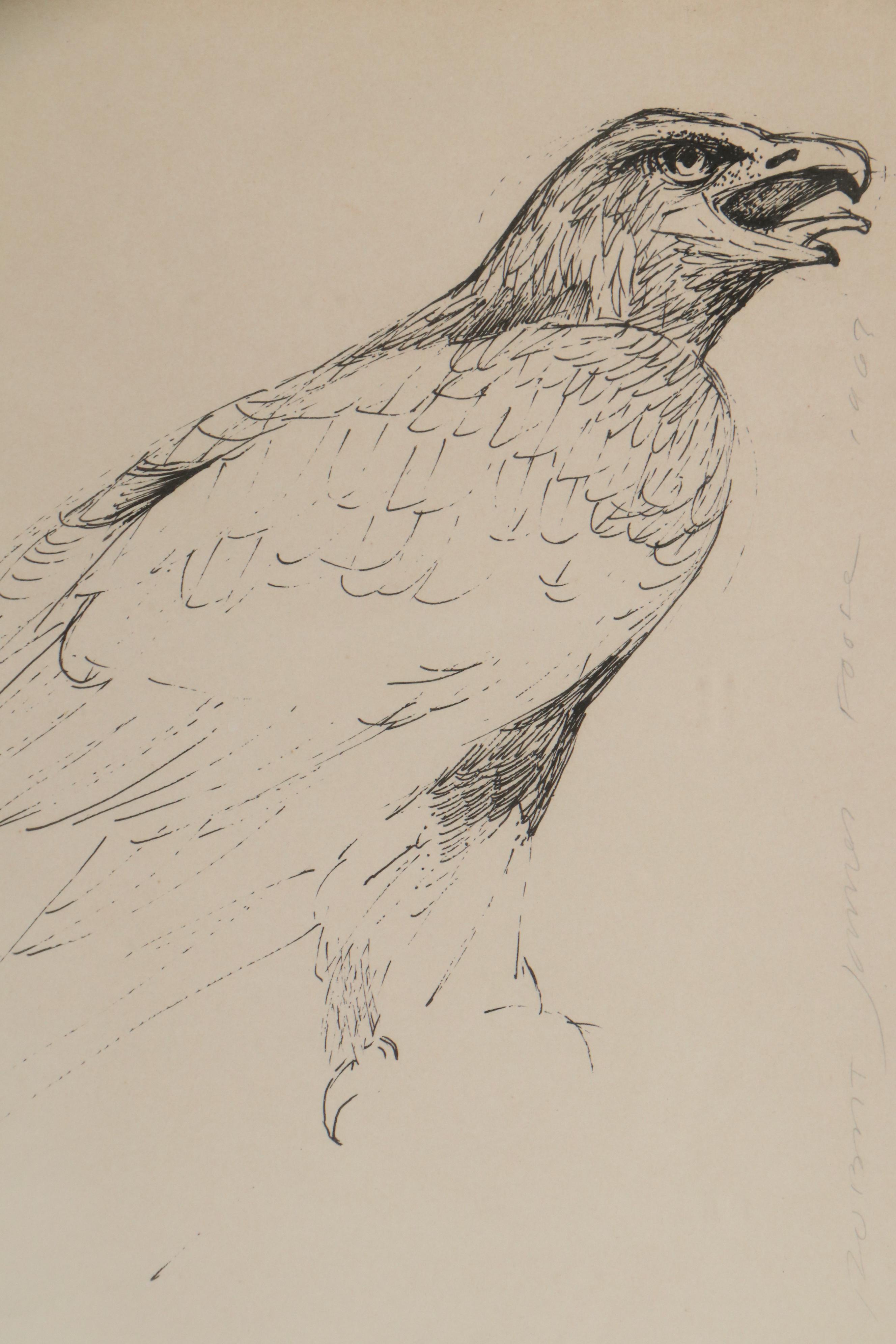 Robert James Foose Ink Drawing of Falcon, 1967 | EBTH