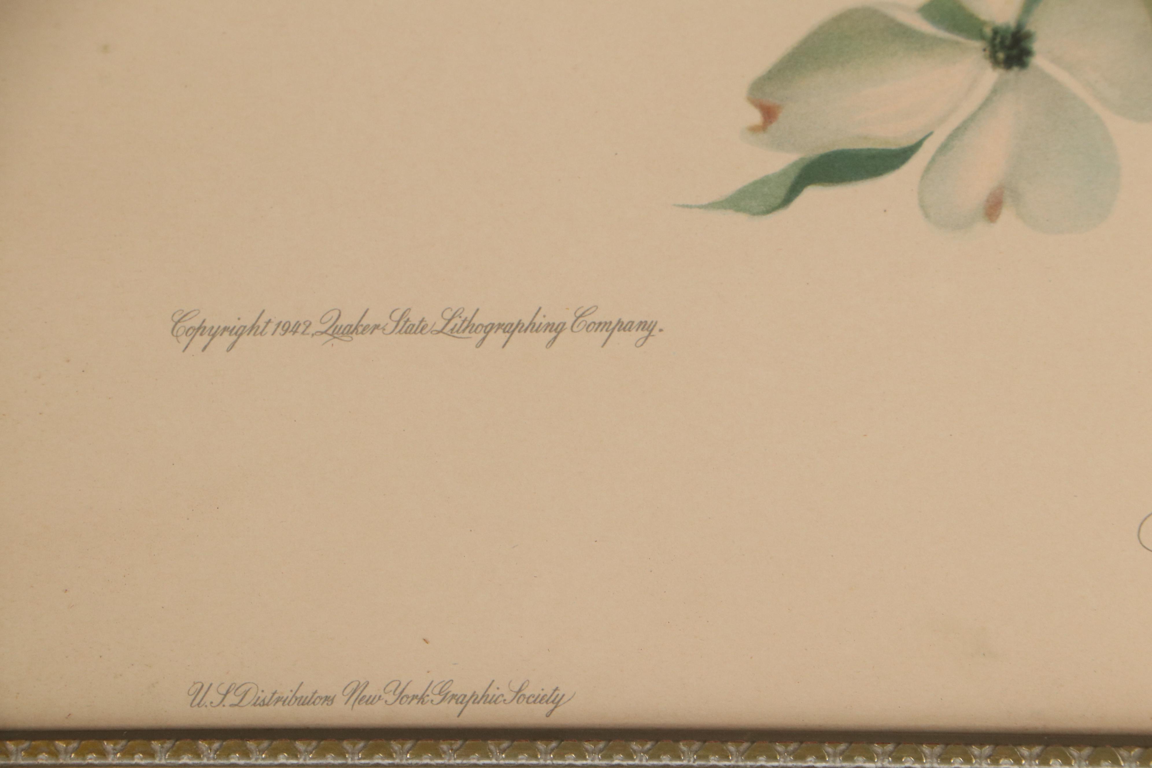 Offset Lithograph After Roger Tory Peterson "Baltimore Oriole"