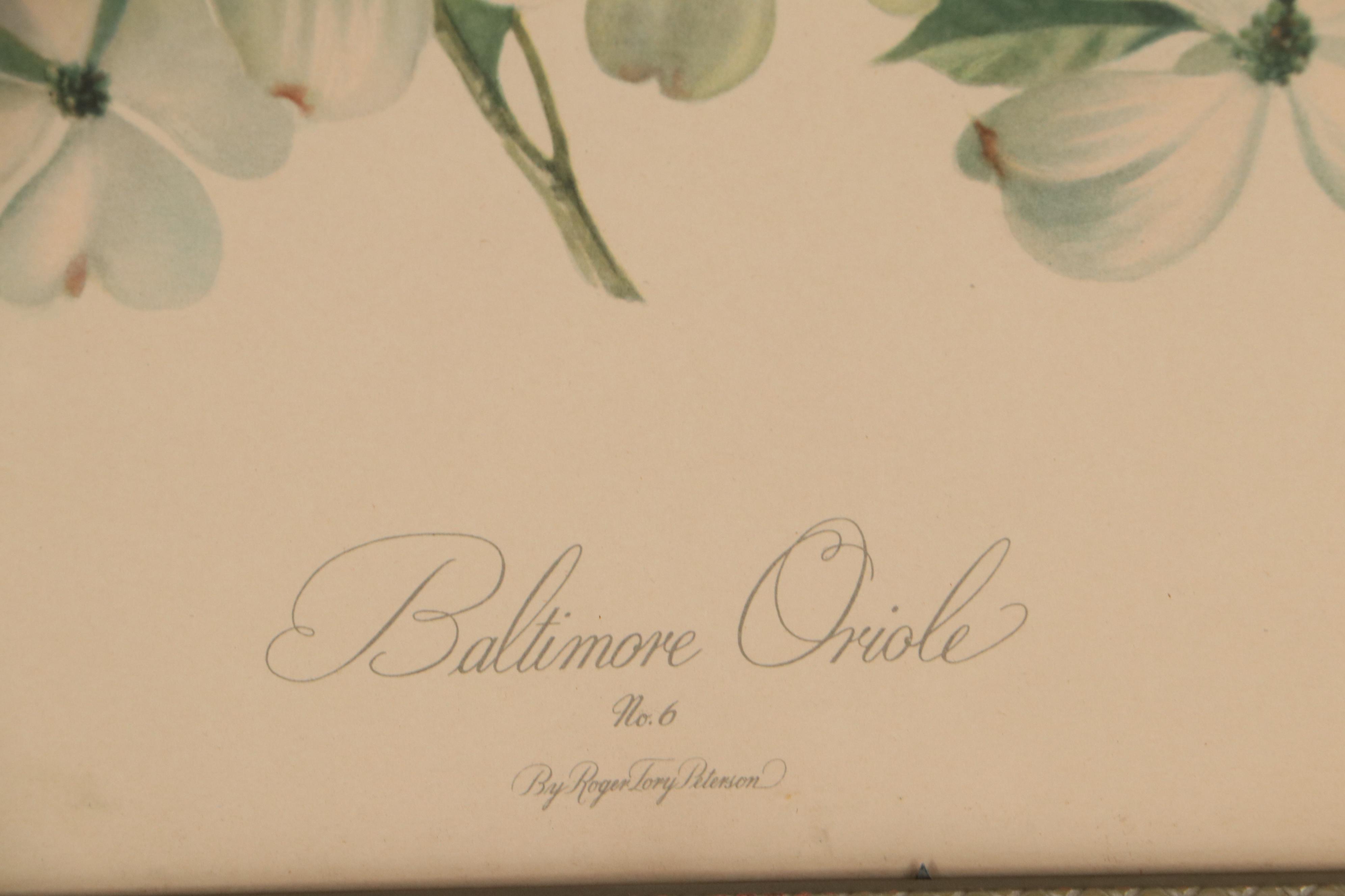 Offset Lithograph After Roger Tory Peterson "Baltimore Oriole"