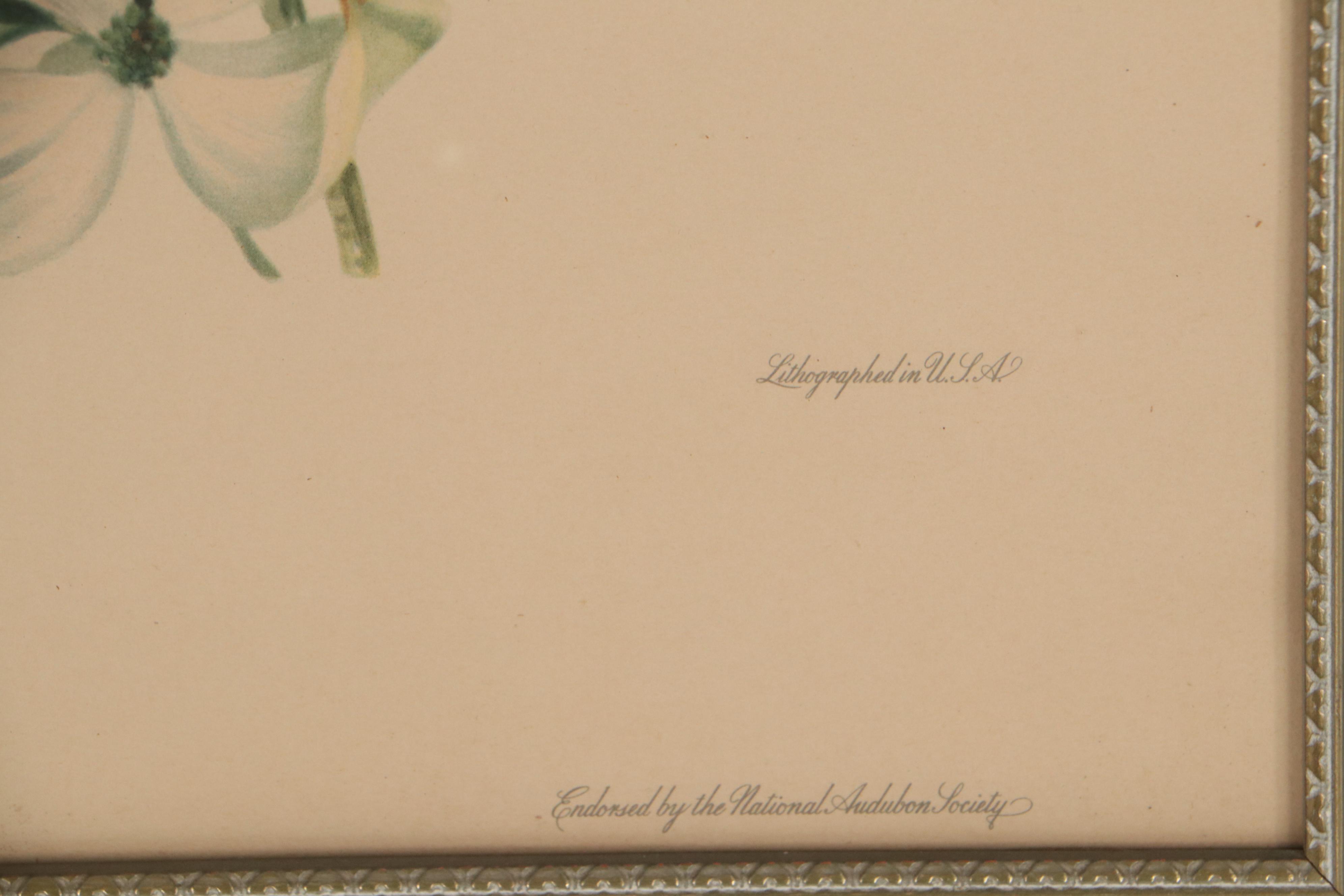 Offset Lithograph After Roger Tory Peterson "Baltimore Oriole"