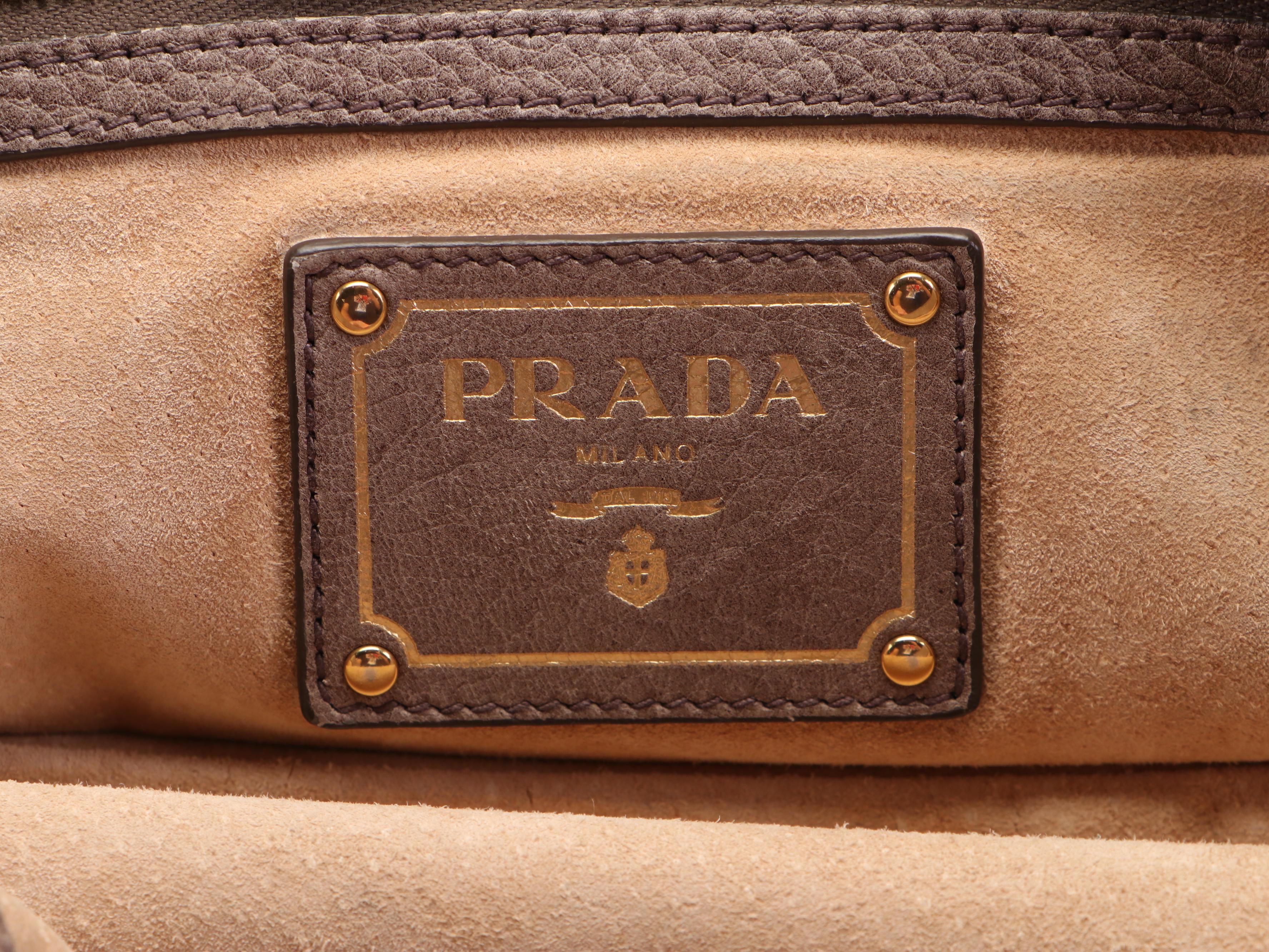 Prada Flap-Front Shoulder Bag in Deerskin Leather with Chain Strap