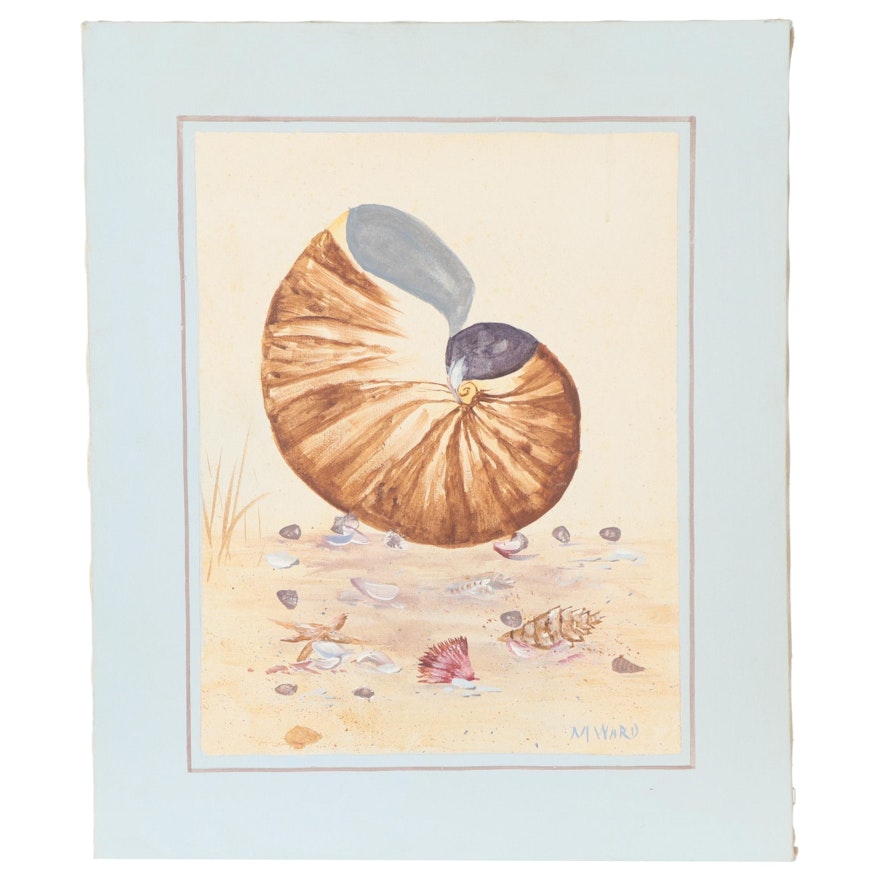 Acrylic Painting of Seashells Attributed to Mary Love Ward, Late 20th Century