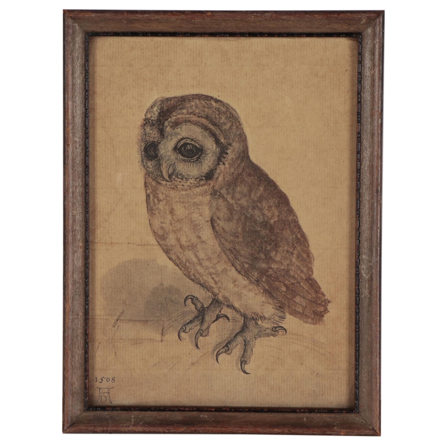 Collotype After Albrecht Dürer "Little Owl"