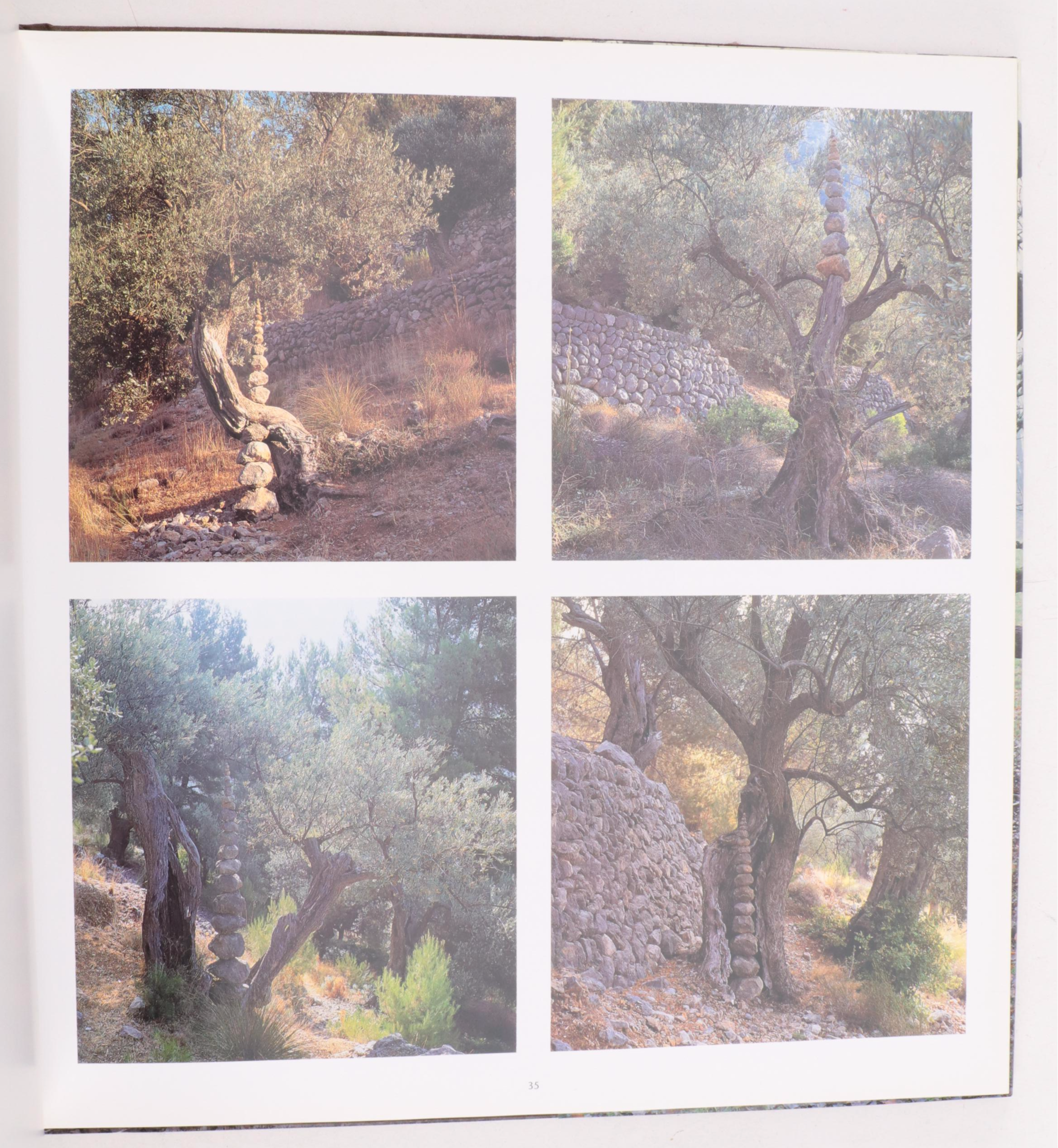 "A Collaboration with Nature" and "Wood" by Andy Goldsworthy, Late 20th Century