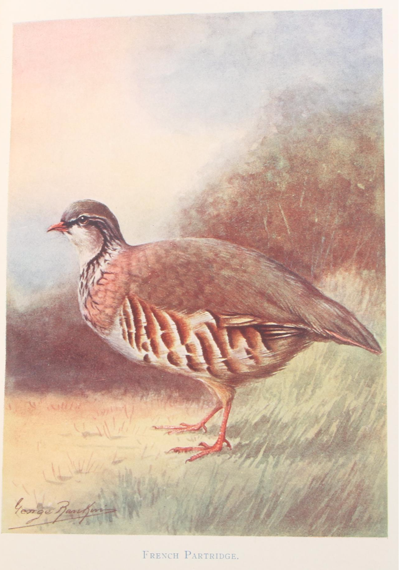 Signed First Edition "Bird Watcher's Anthology" by Roger Tory Peterson and More